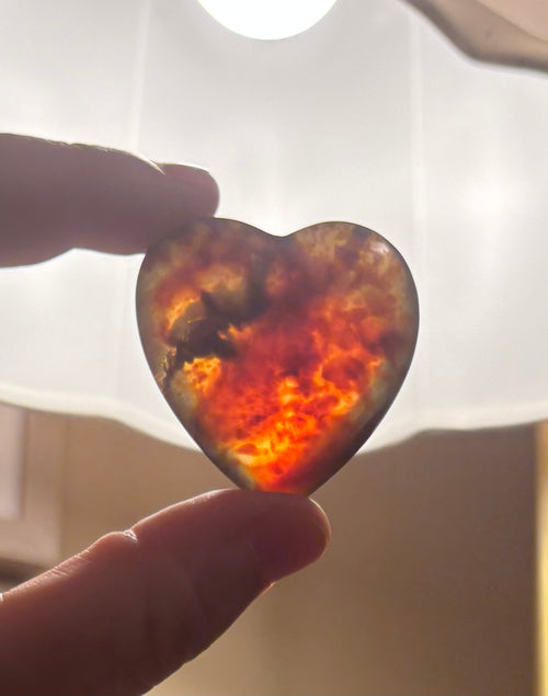 Amber Hearts