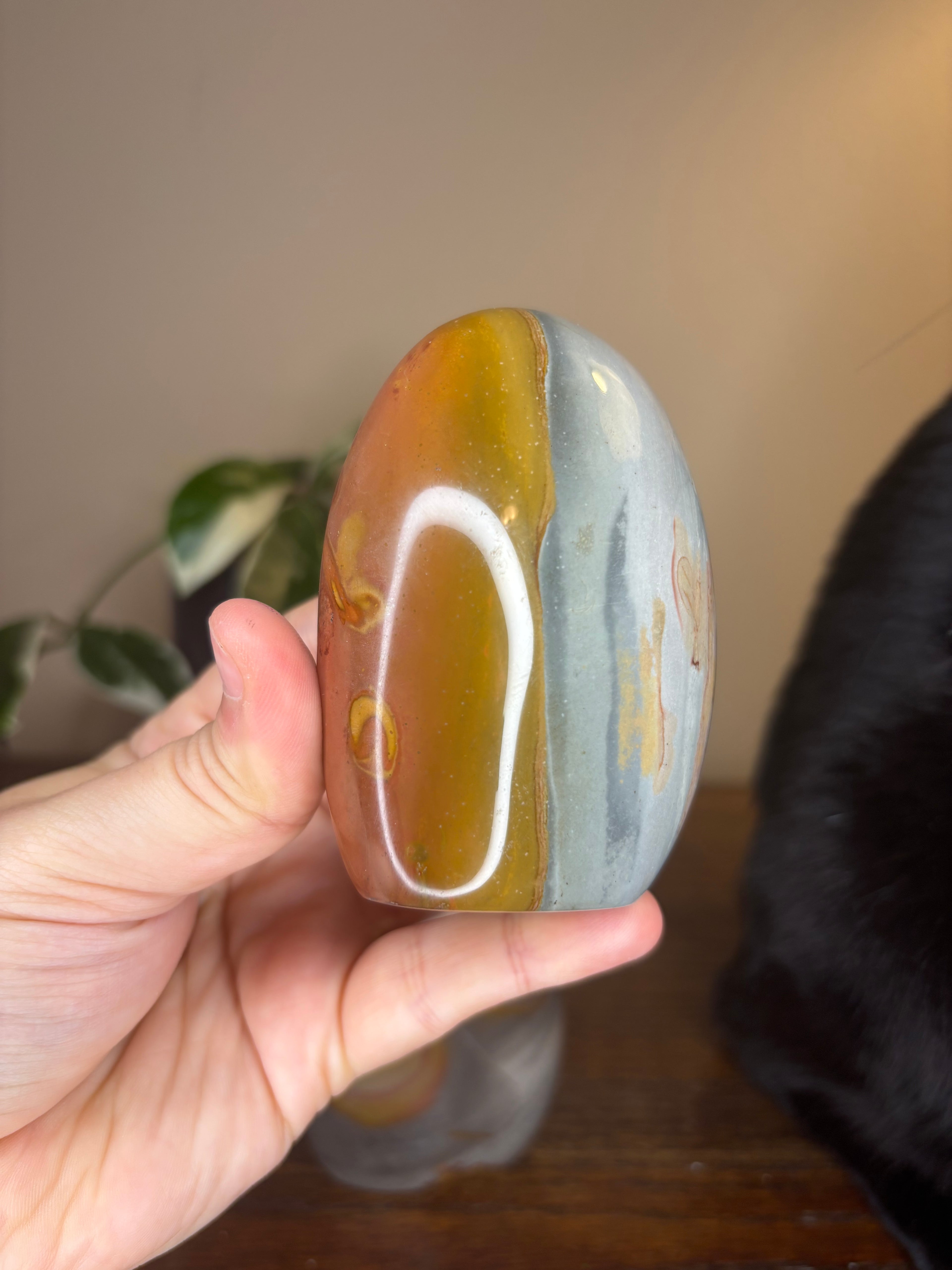 Polychrome Freeforms