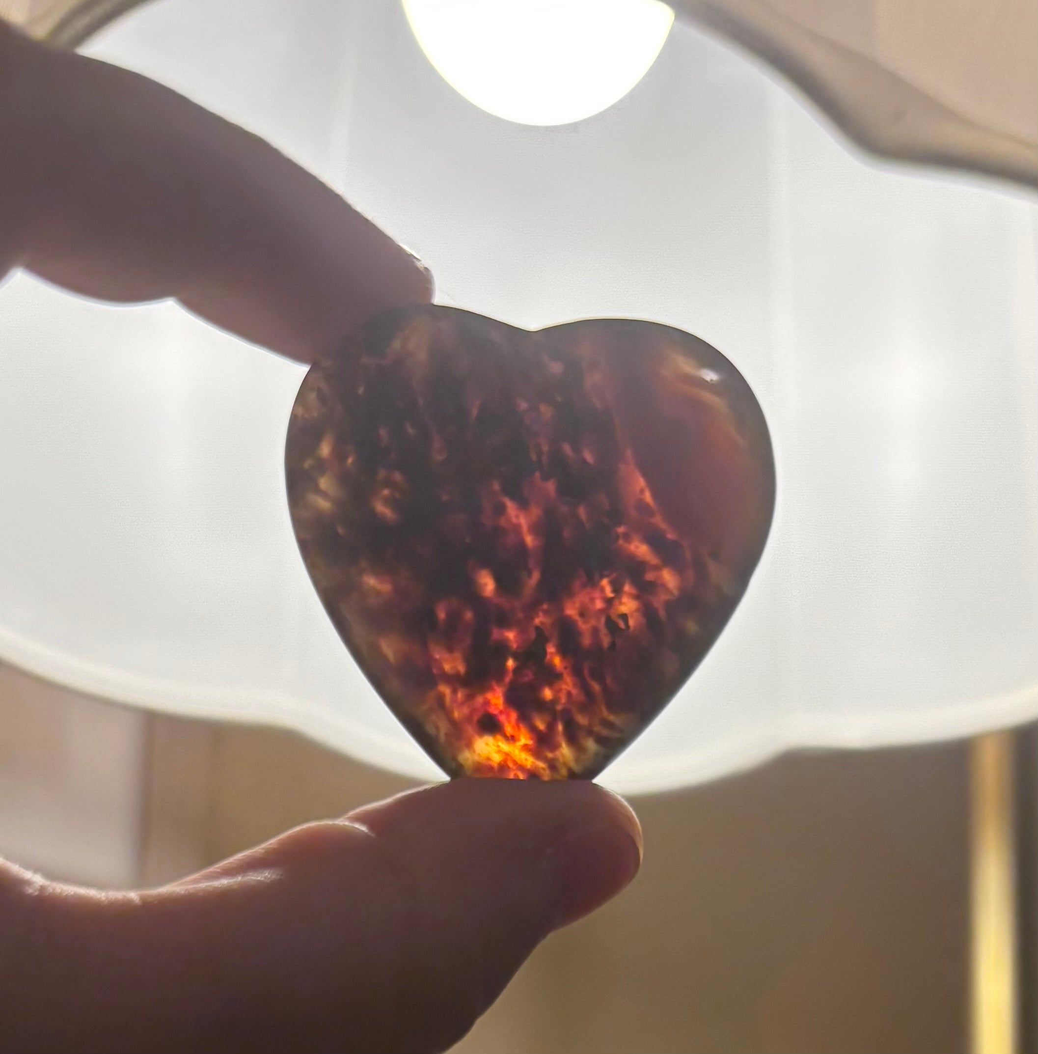 Amber Hearts