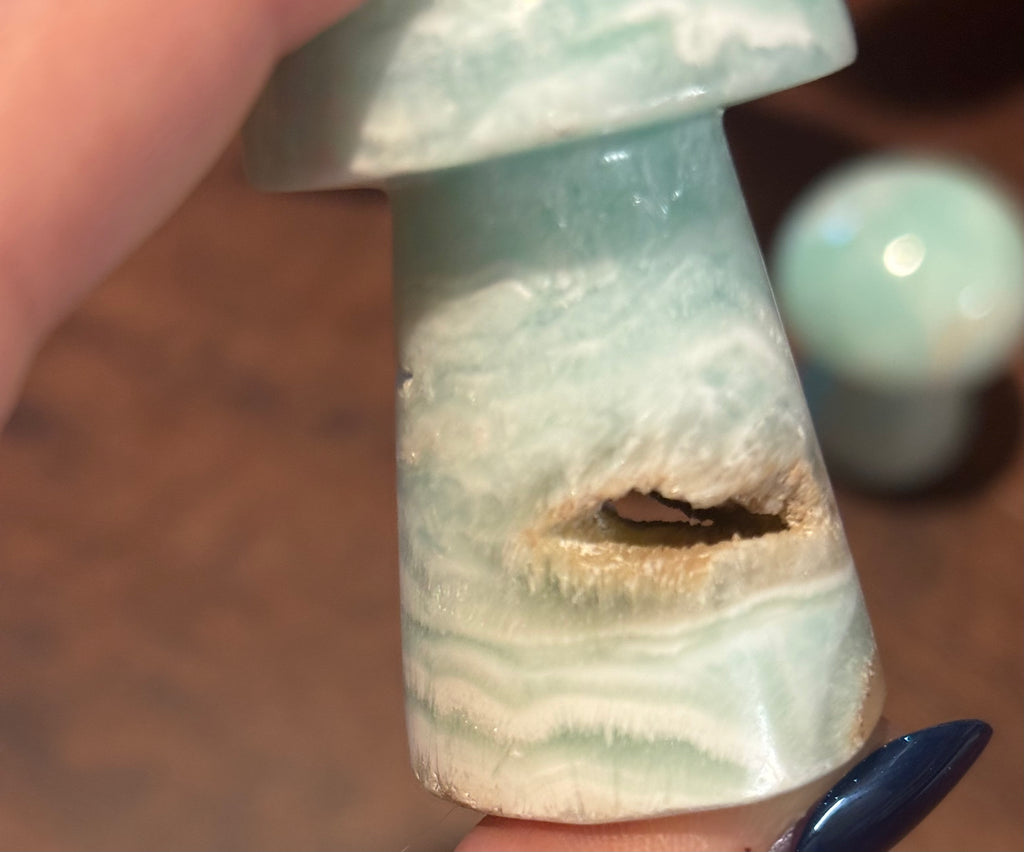 Caribbean calcite mushrooms