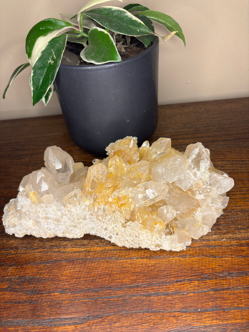 Capa Saco Quartz