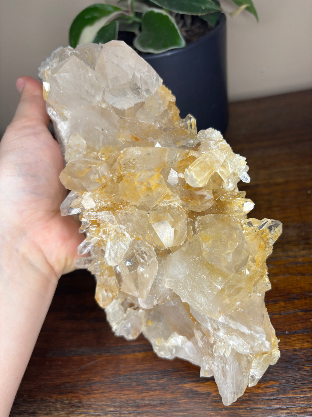 Capa Saco Quartz