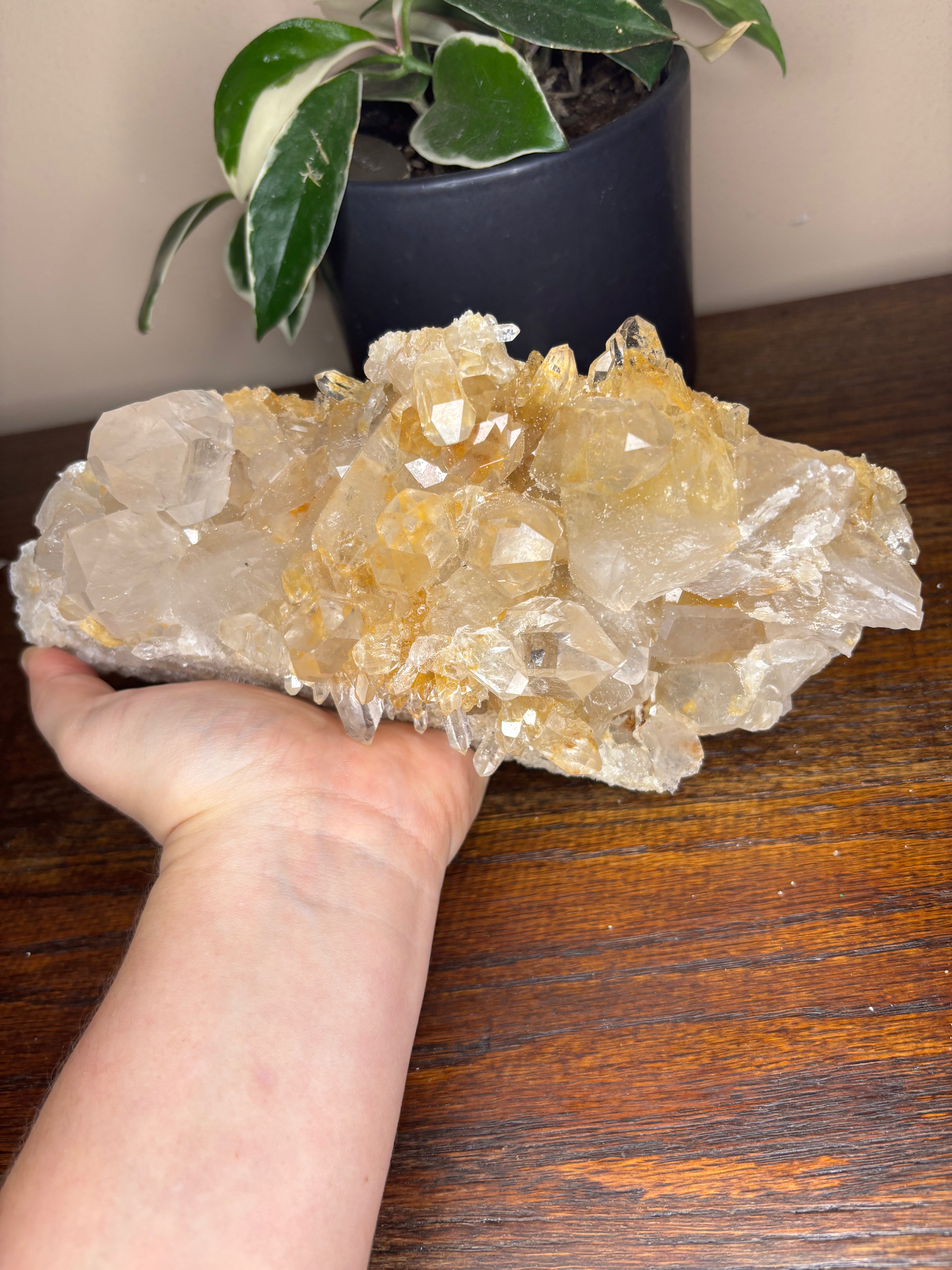Capa Saco Quartz