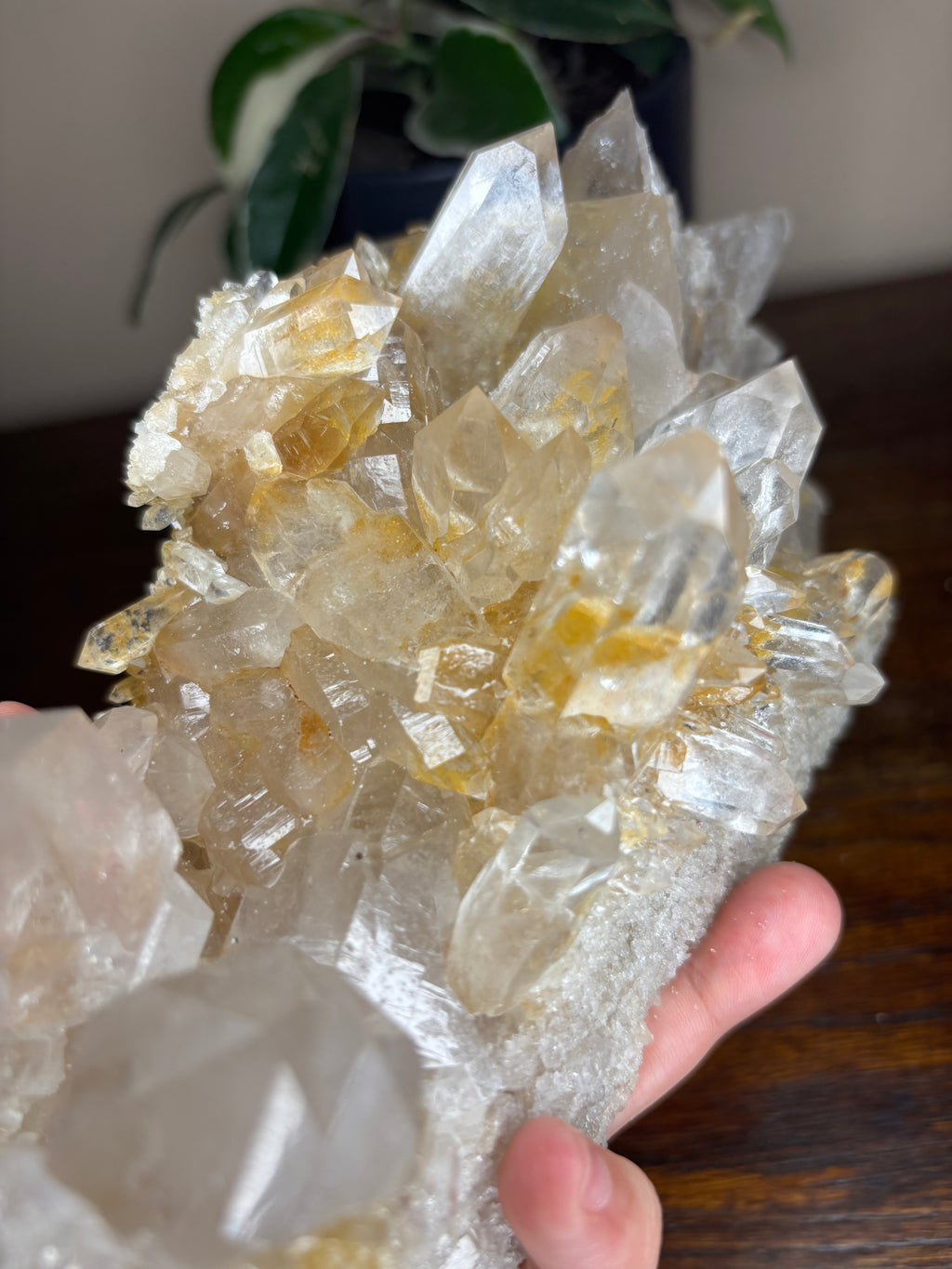 Capa Saco Quartz