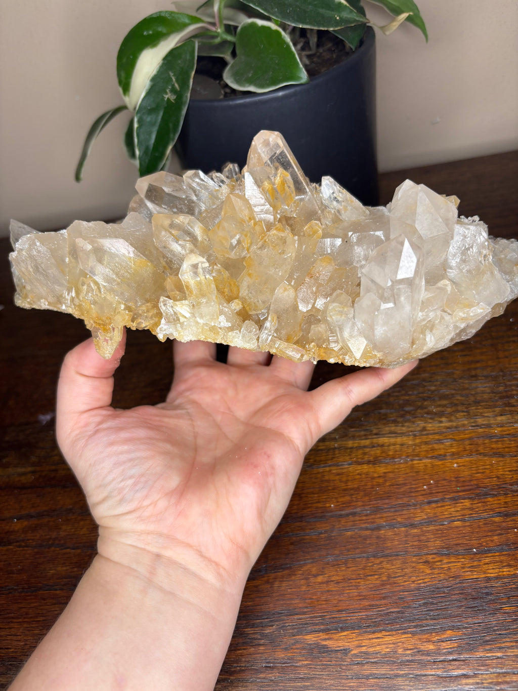 Capa Saco Quartz