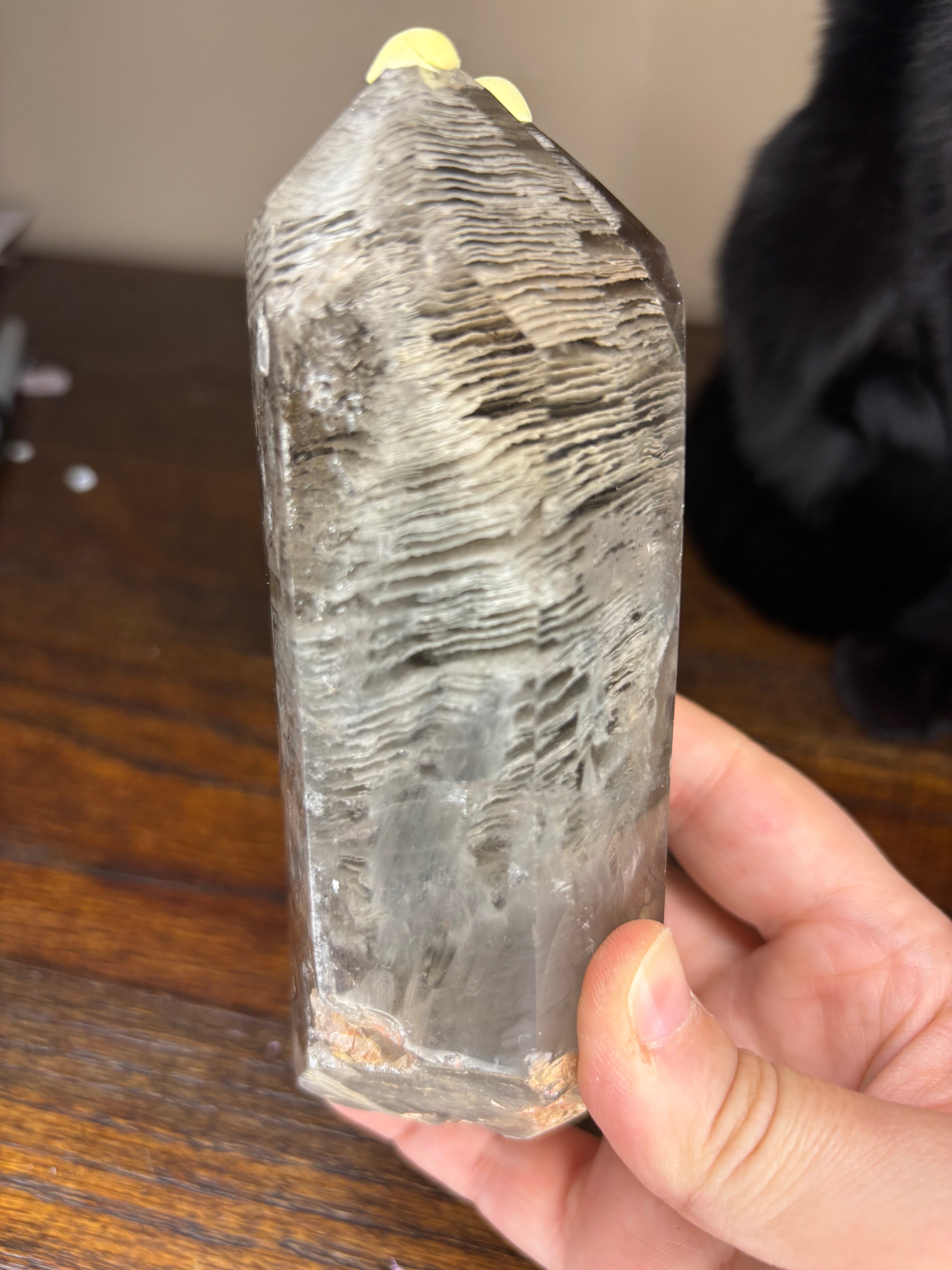 Garden Quartz statements on wood stand - click to see more!
