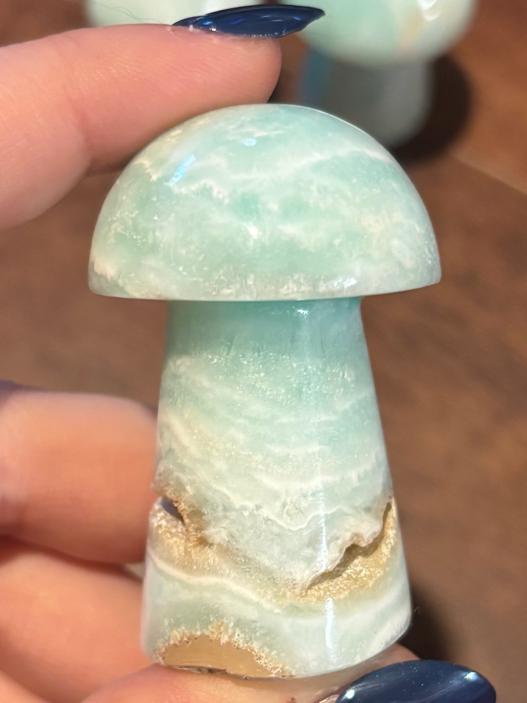 Caribbean calcite mushrooms