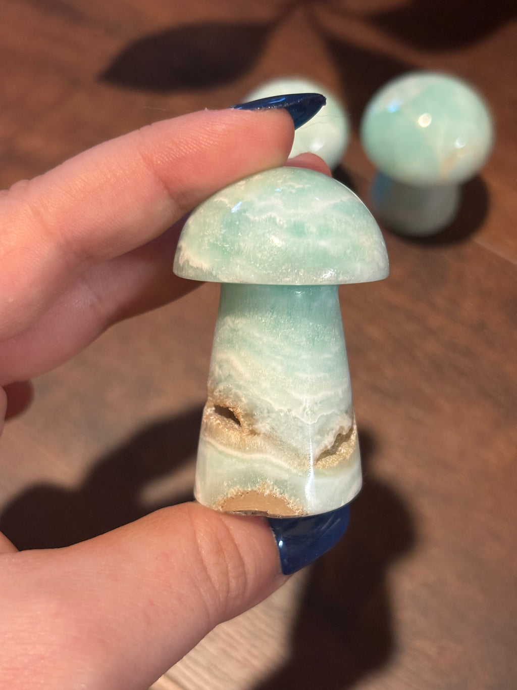 Caribbean calcite mushrooms