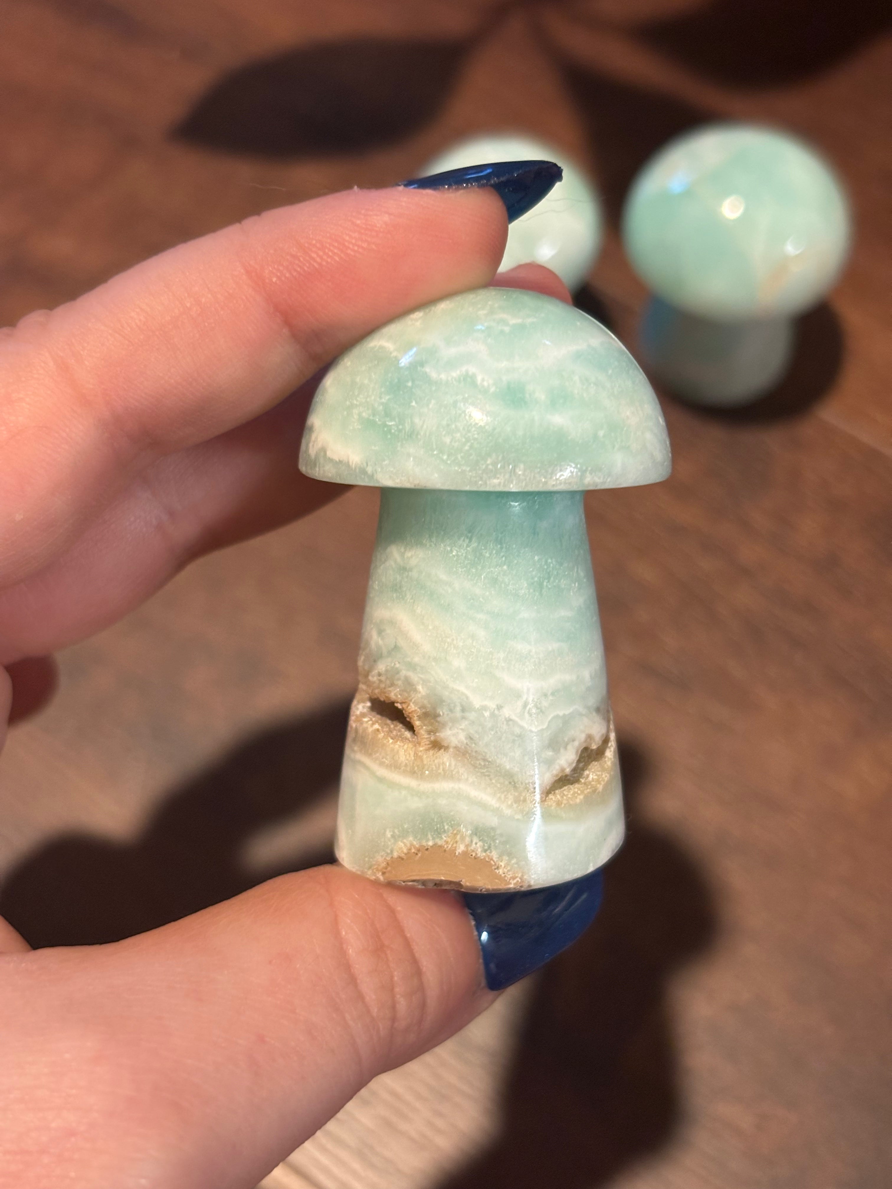 Caribbean calcite mushrooms