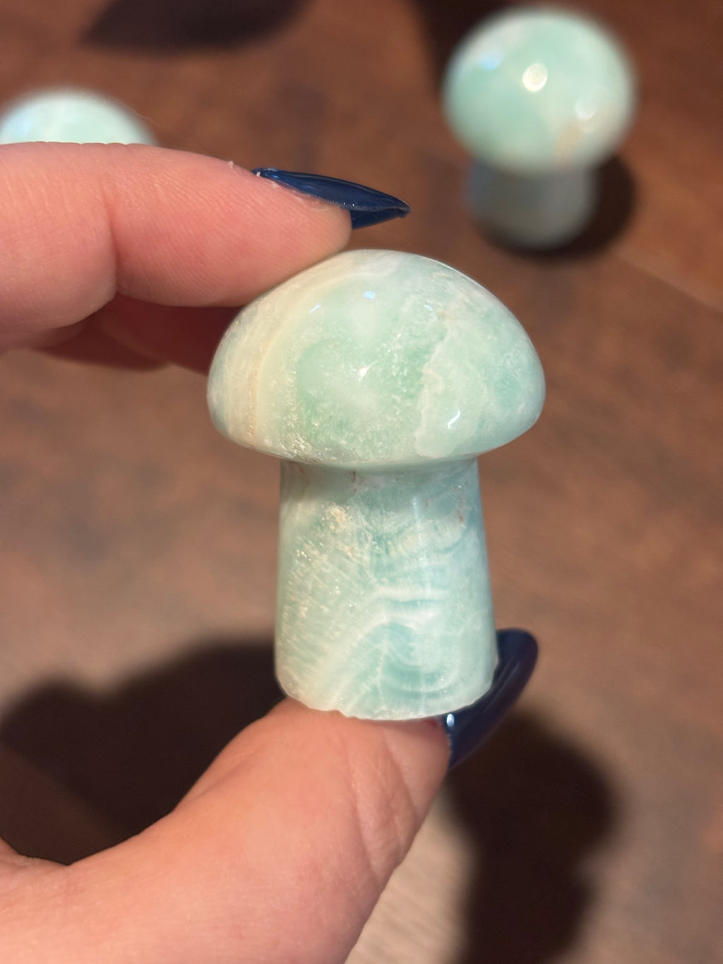 Caribbean calcite mushrooms