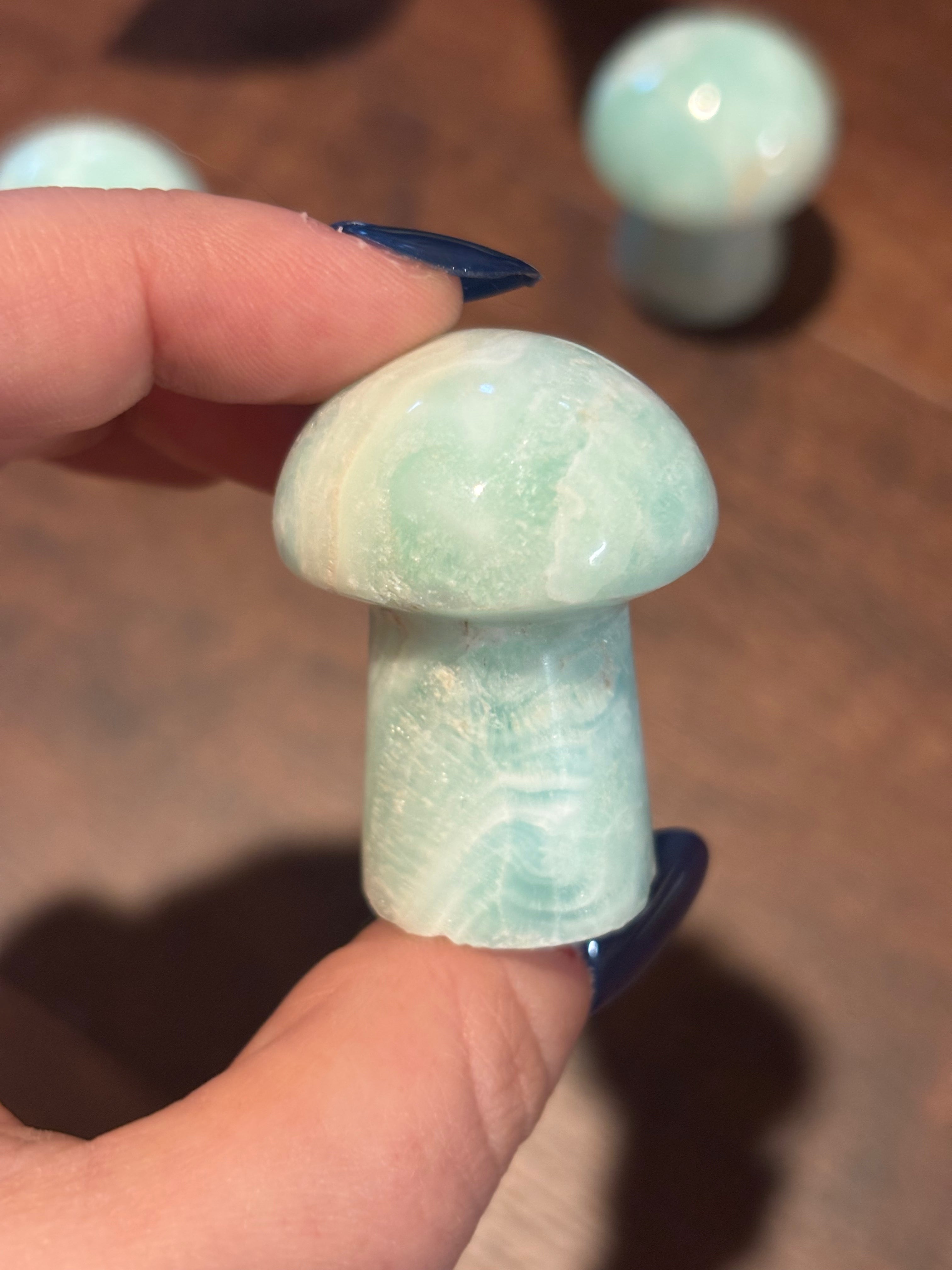 Caribbean calcite mushrooms