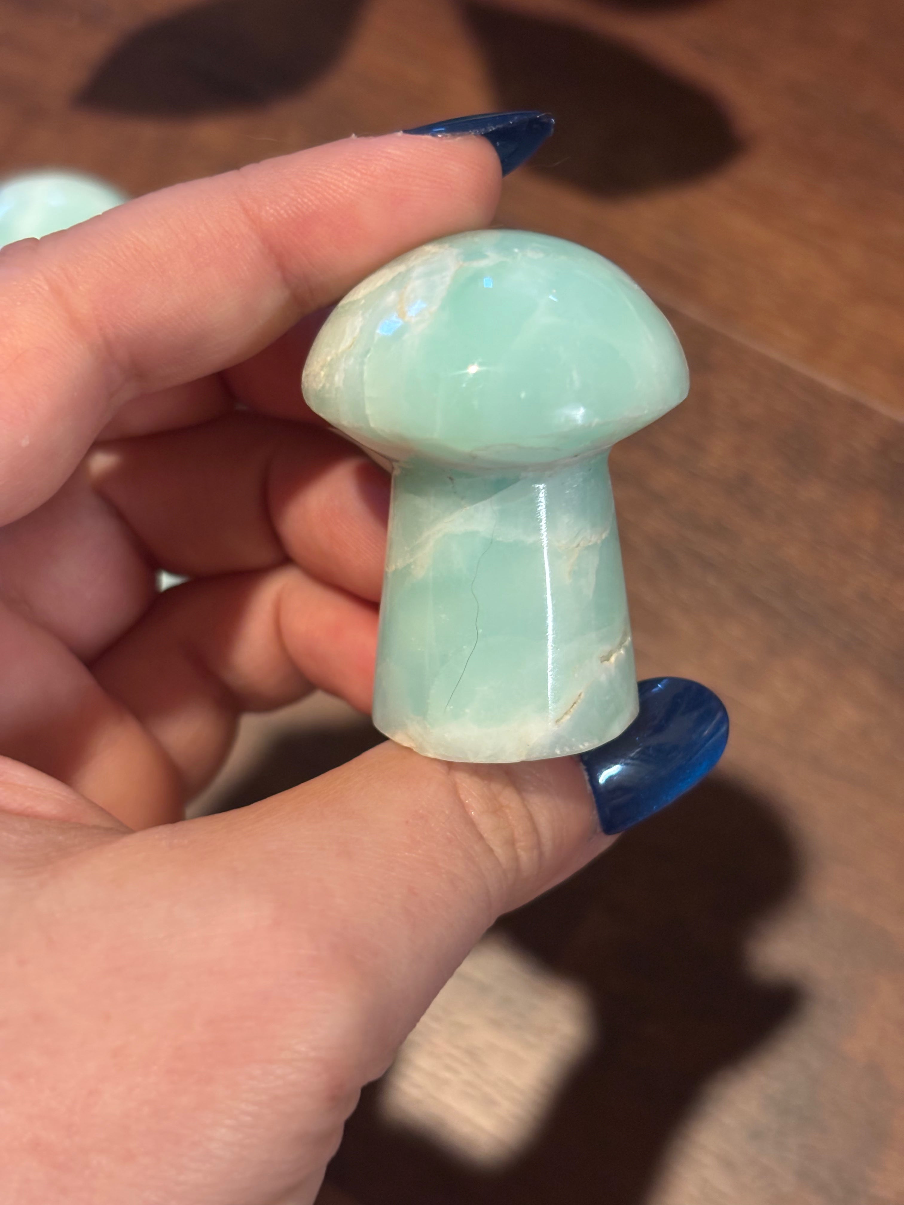 Caribbean calcite mushrooms