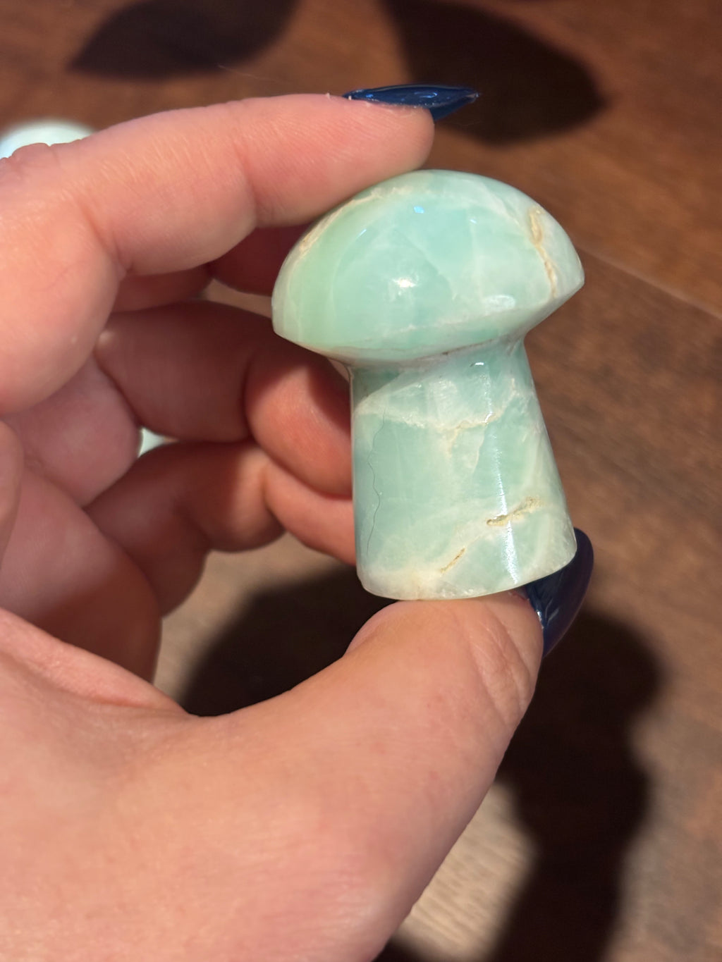 Caribbean calcite mushrooms