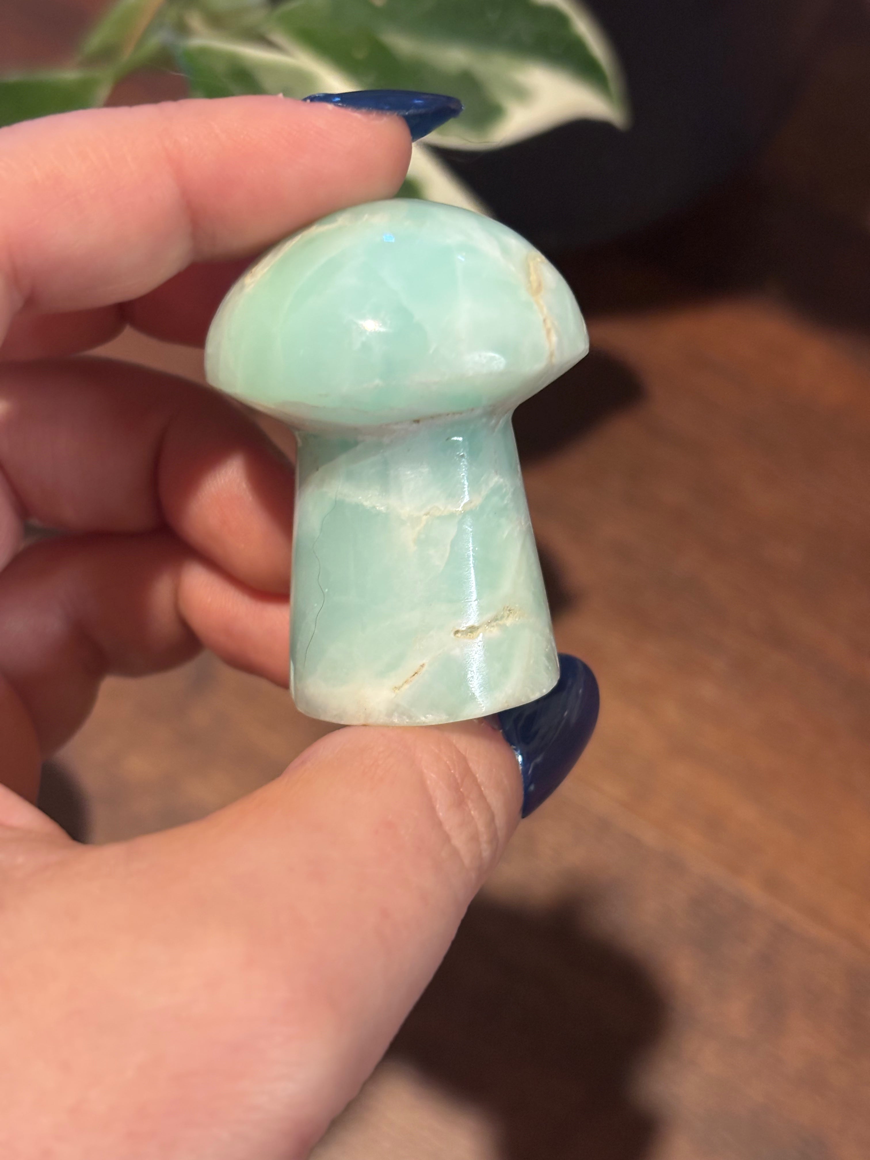 Caribbean calcite mushrooms