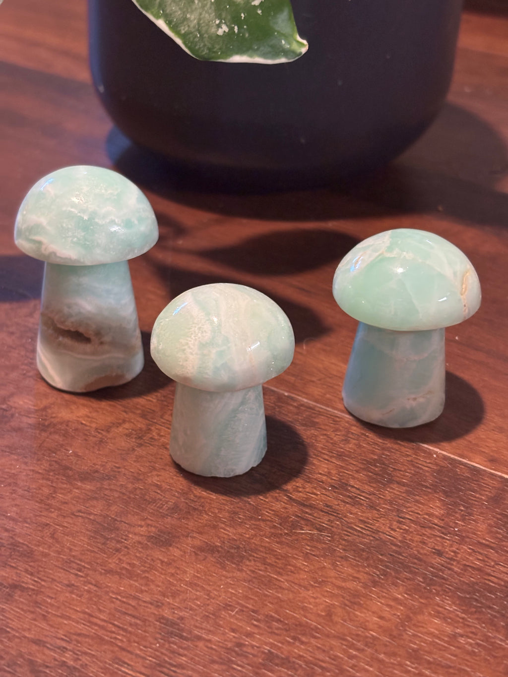Caribbean calcite mushrooms