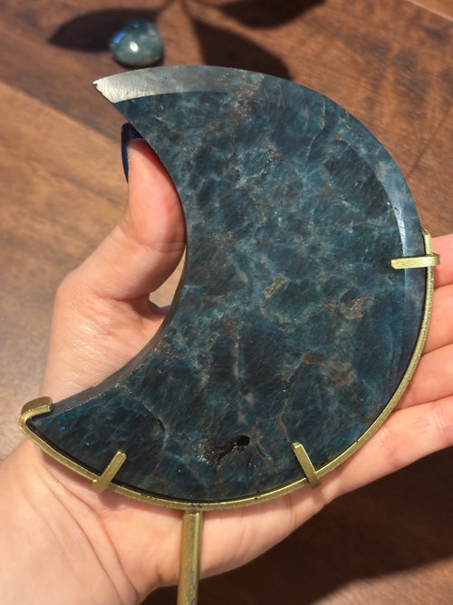 Blue appetite moon