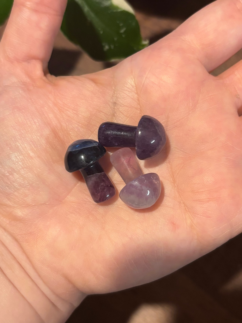 Fluorite mini mushrooms