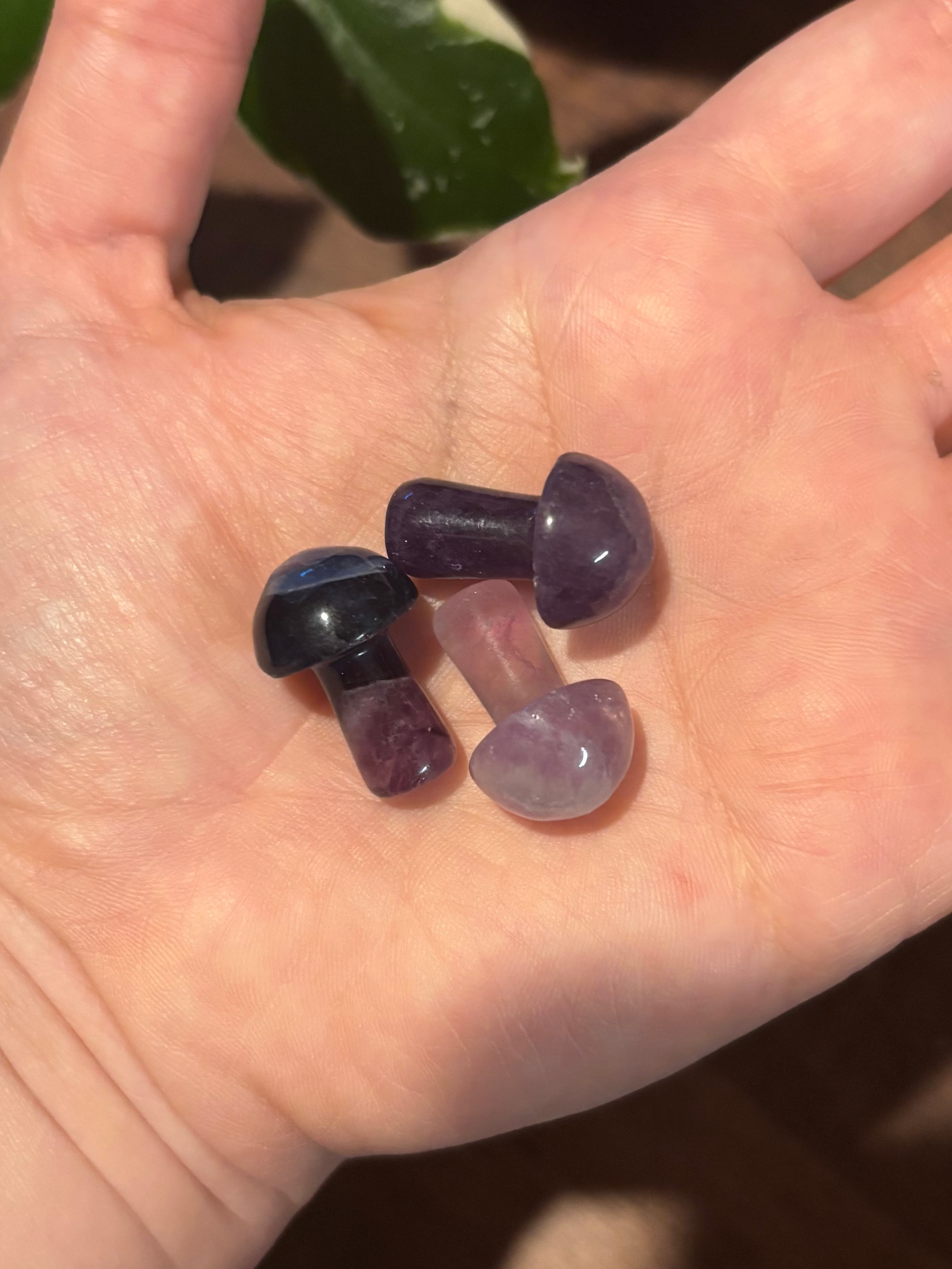 Fluorite mini mushrooms