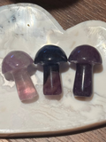 Fluorite mini mushrooms