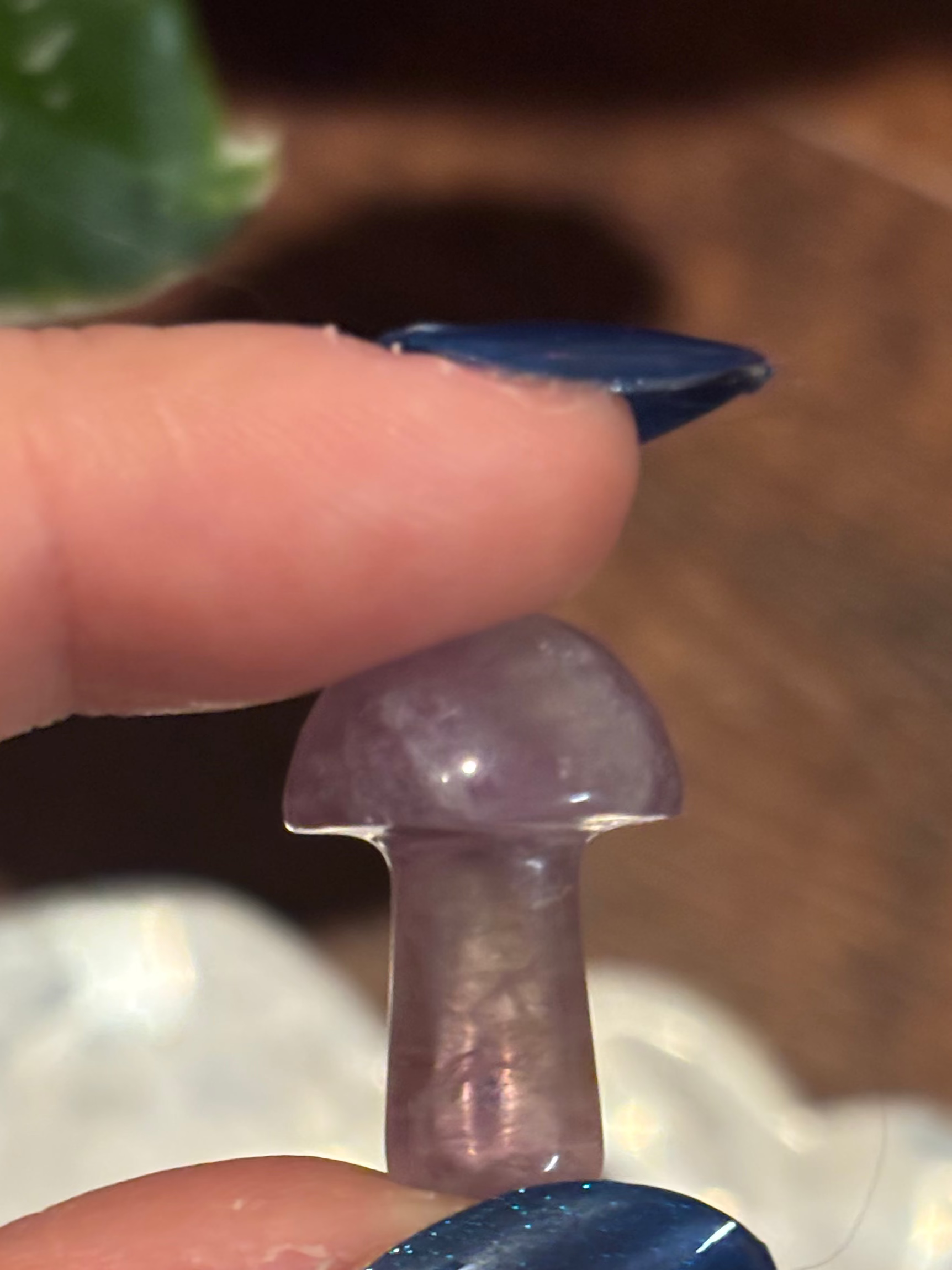 Fluorite mini mushrooms