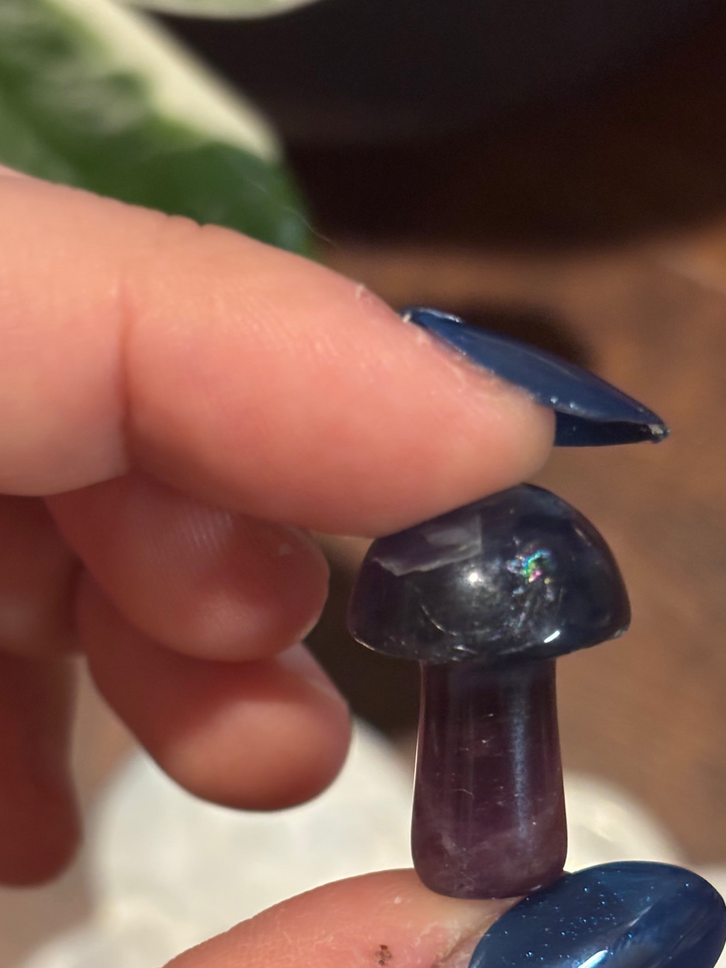 Fluorite mini mushrooms
