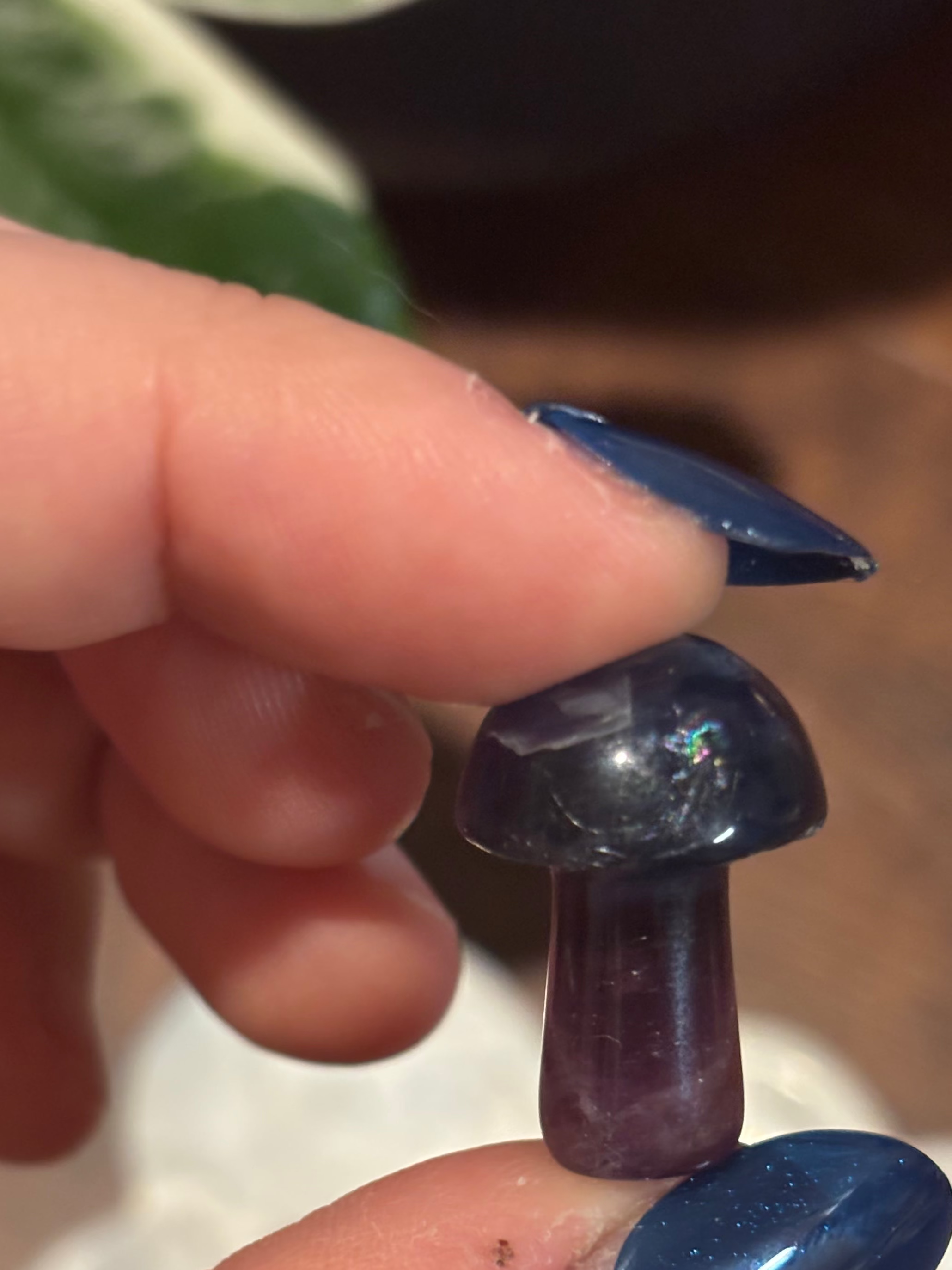 Fluorite mini mushrooms