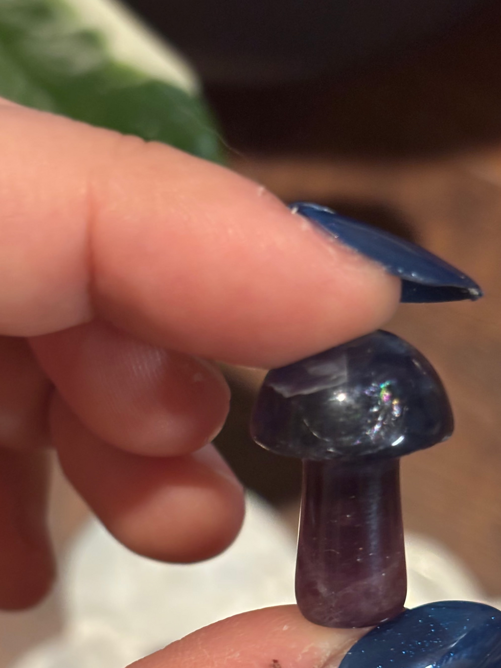 Fluorite mini mushrooms