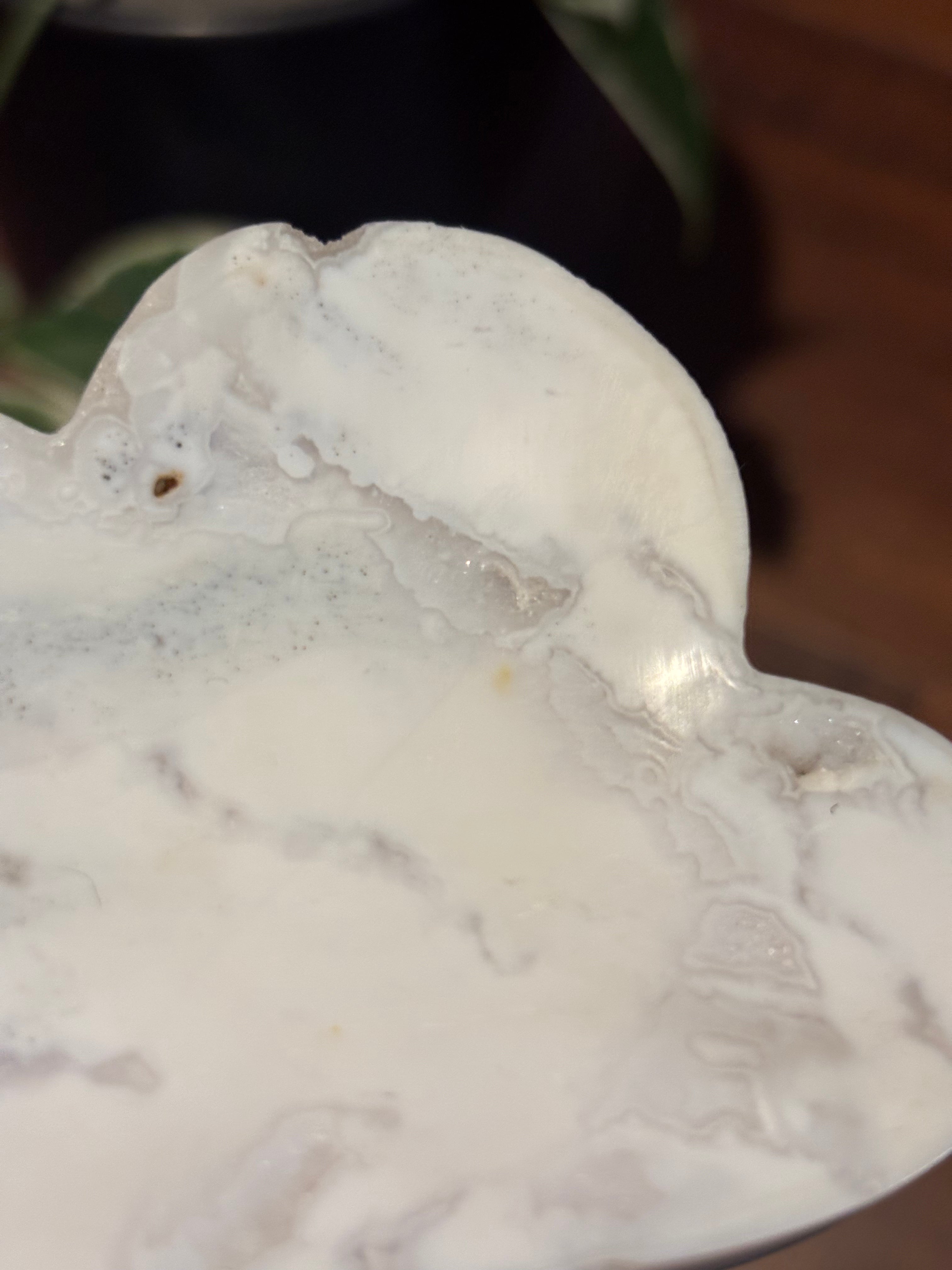 Cloud jewelry dish - white plume agate