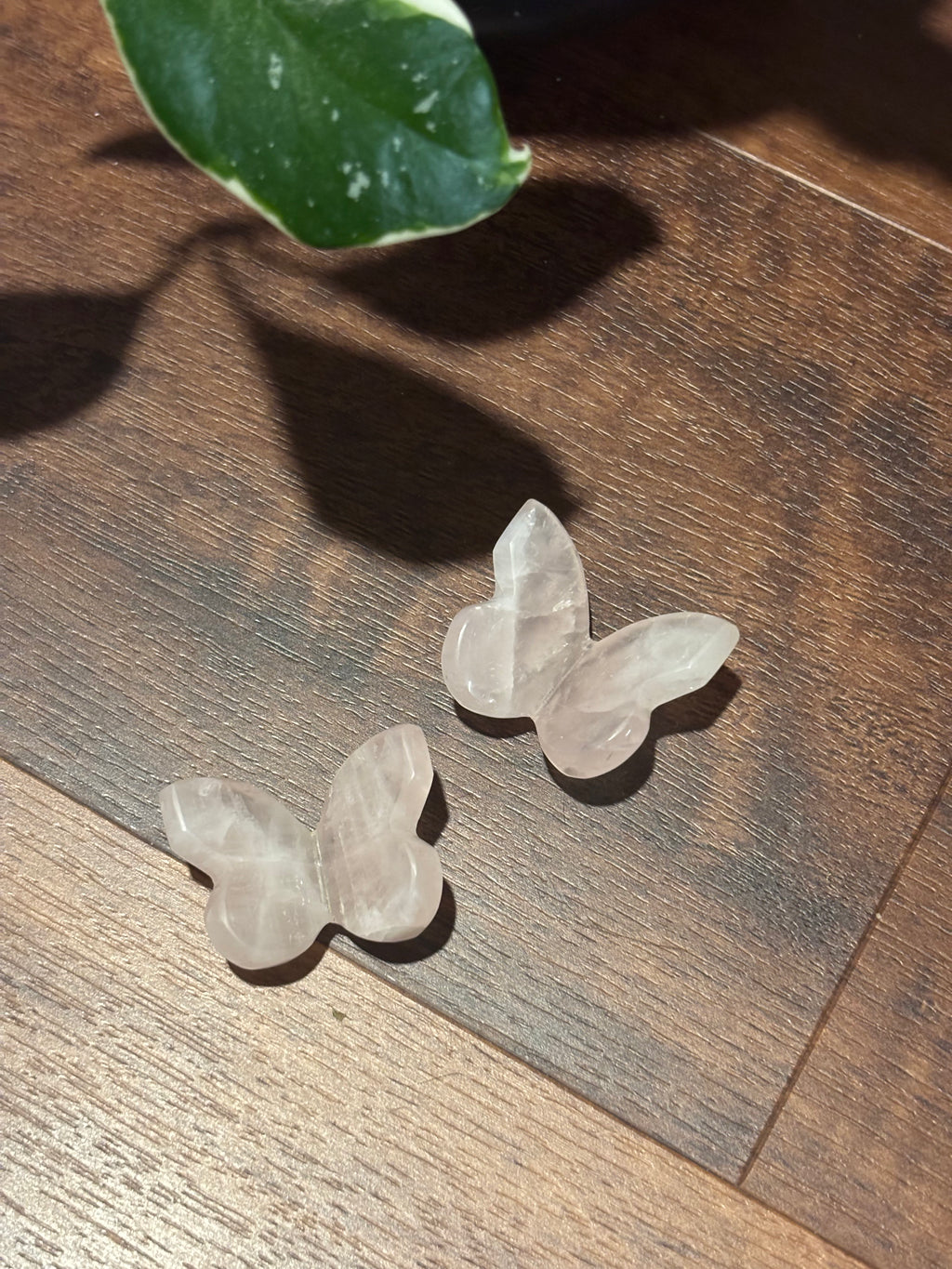 Rose Quartz 3D baby butterflies