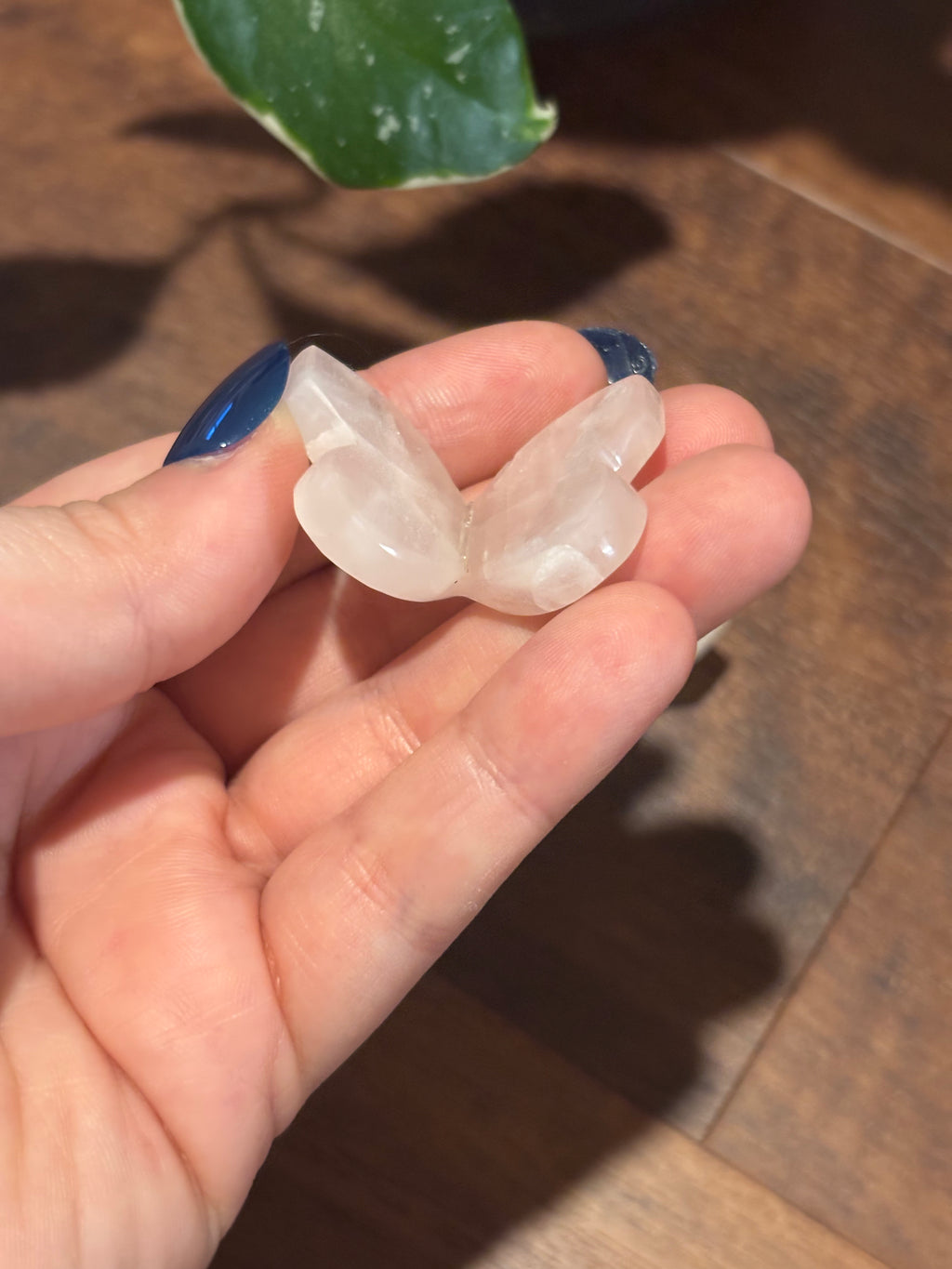 Rose Quartz 3D baby butterflies