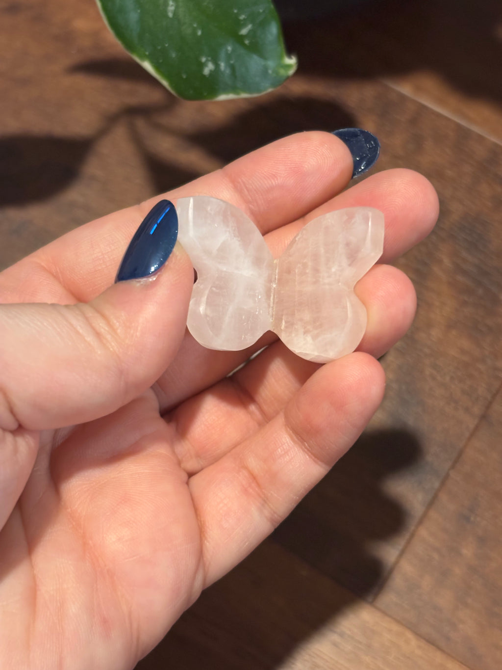 Rose Quartz 3D baby butterflies