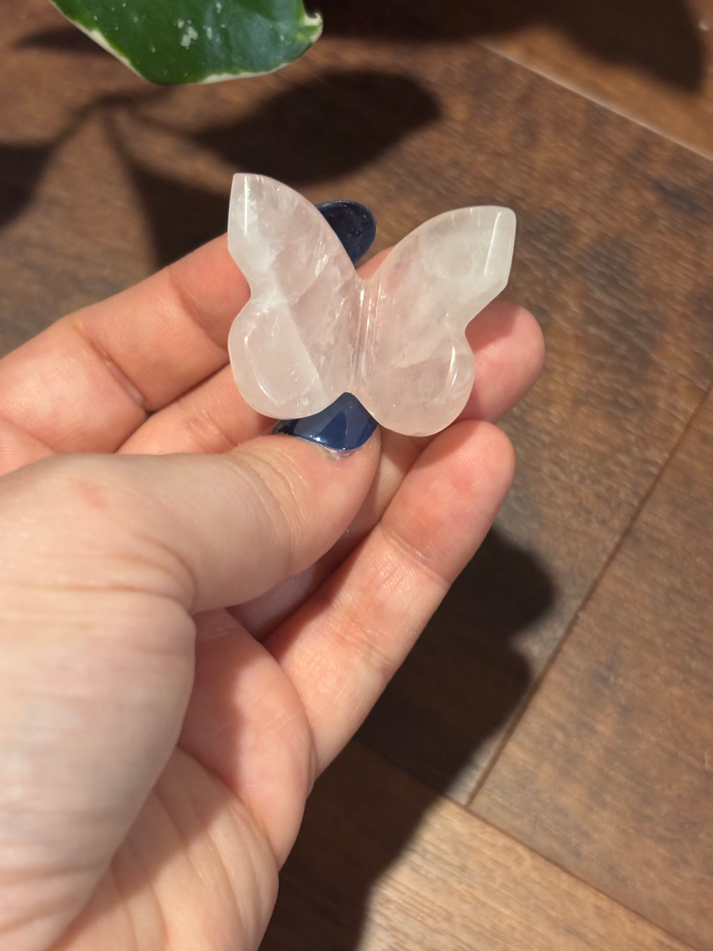 Rose Quartz 3D baby butterflies