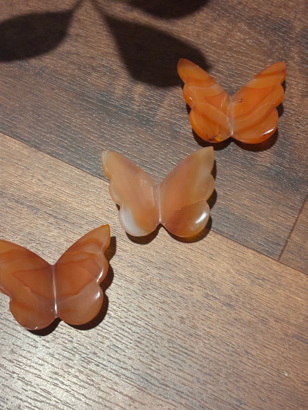 Carnelian 3D butterflies (orange)