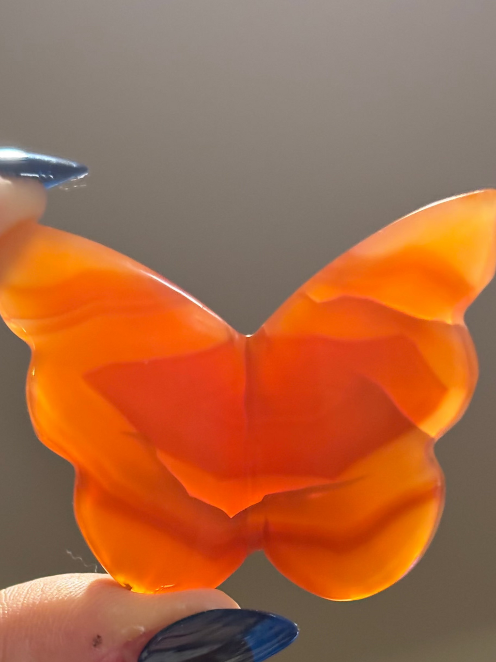Carnelian 3D butterflies (orange)