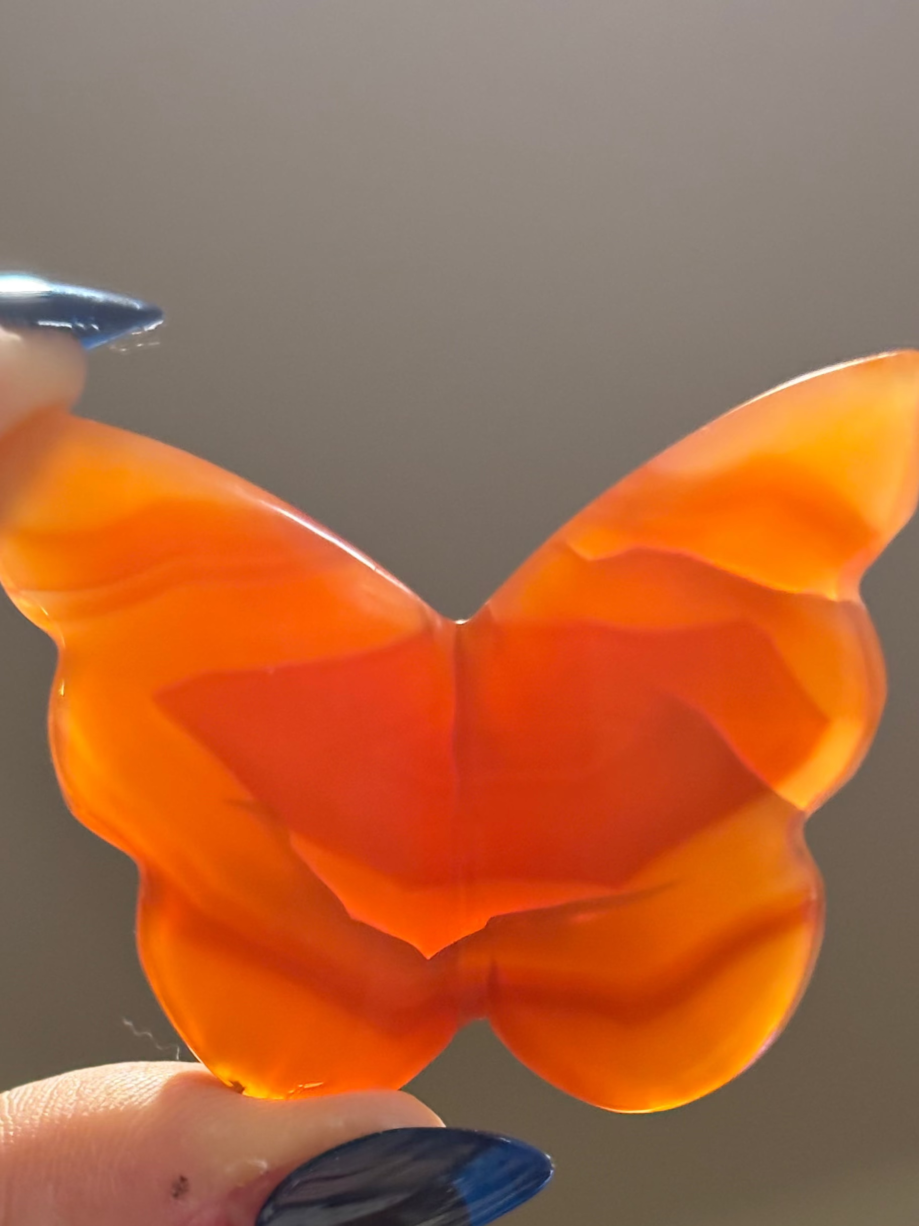 Carnelian 3D butterflies (orange)
