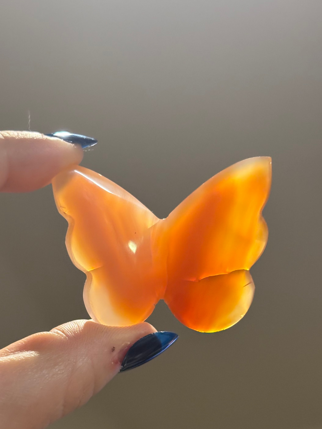 Carnelian 3D butterflies (orange)