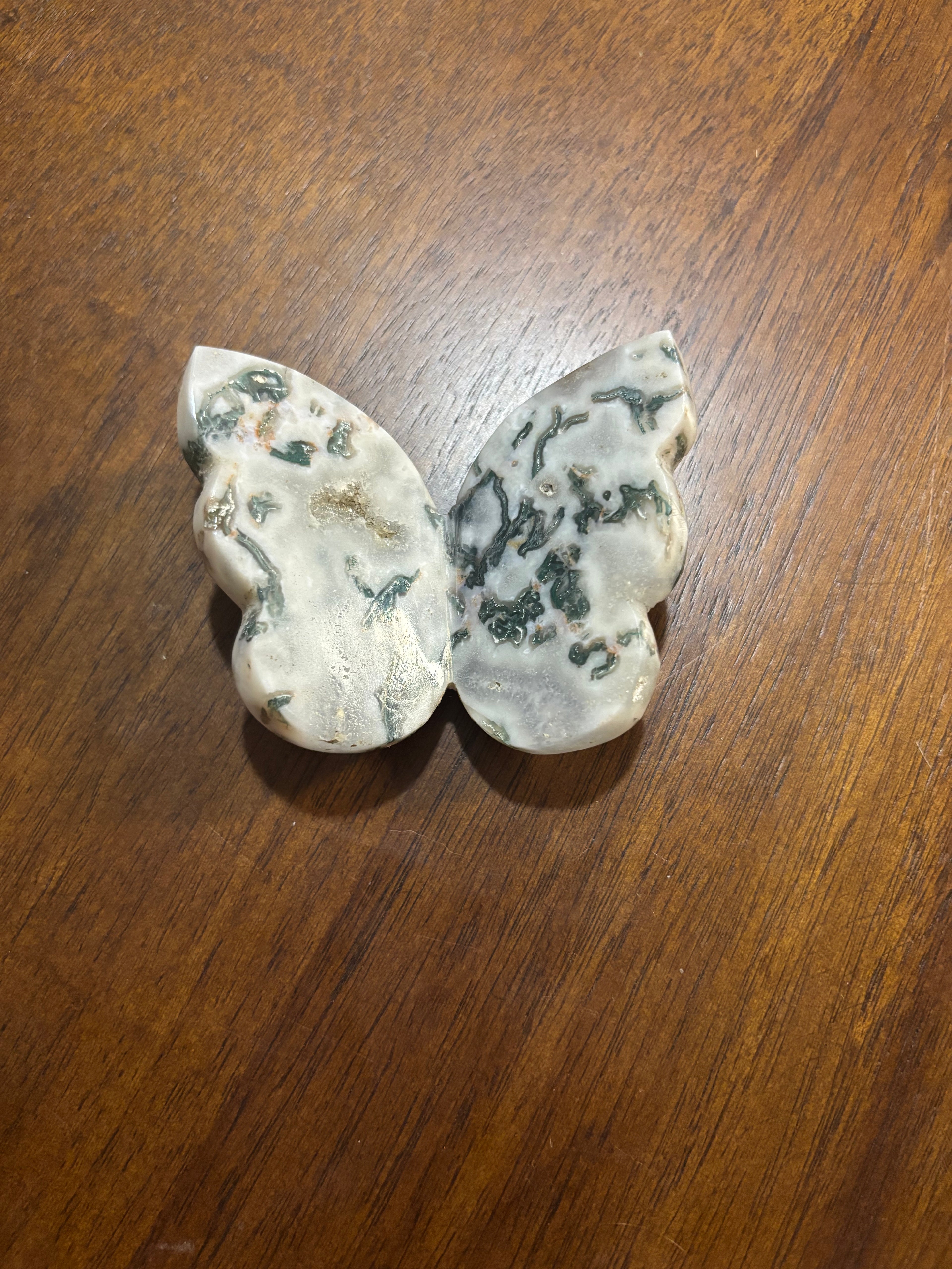 Tree moss agate 3d butterfly -chunky