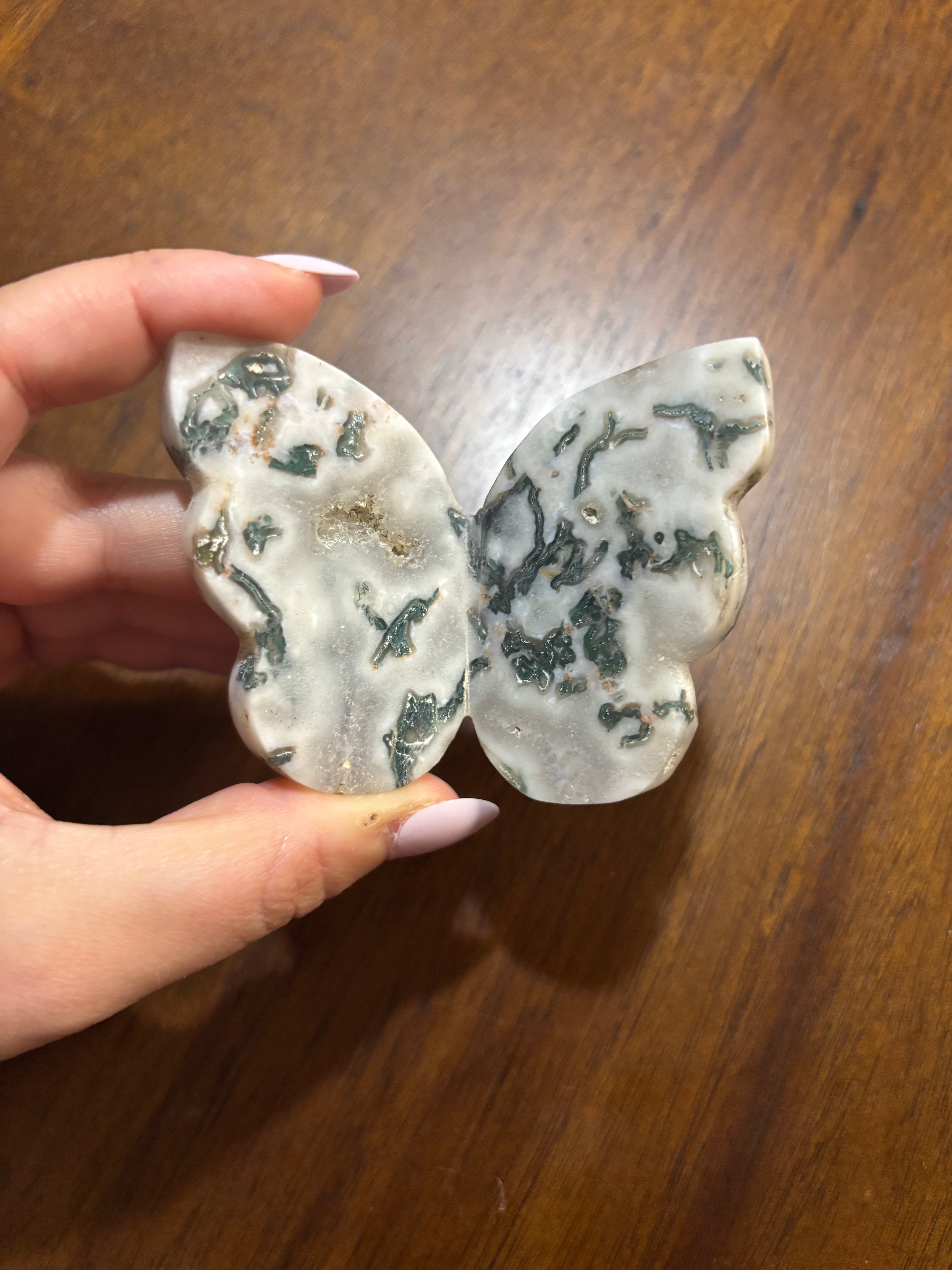 Tree moss agate 3d butterfly -chunky