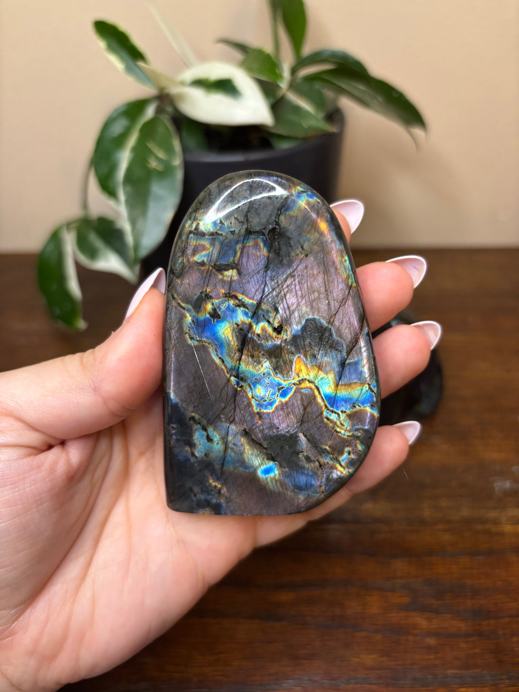Labradorite Freeforms