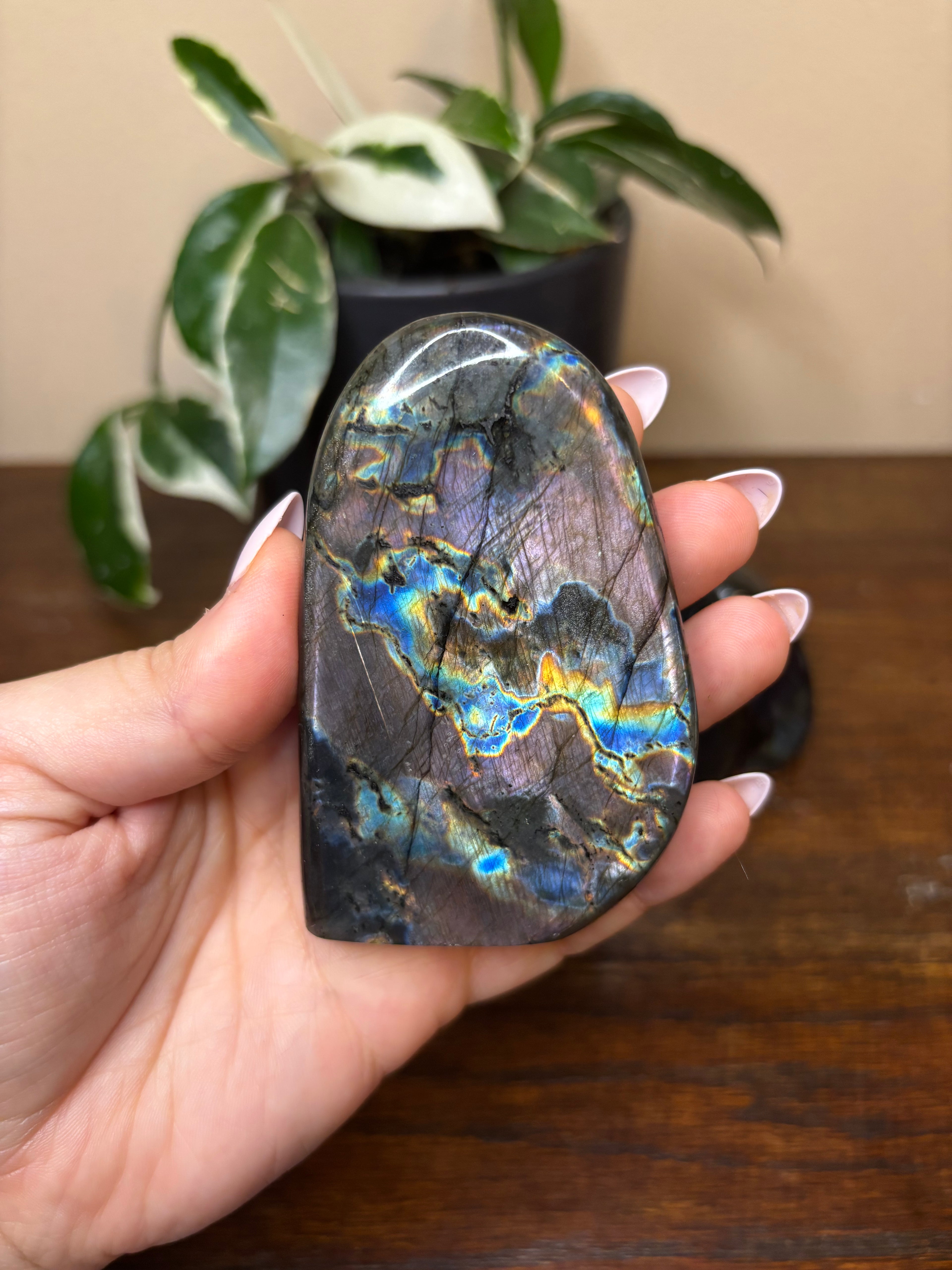 Labradorite Freeforms