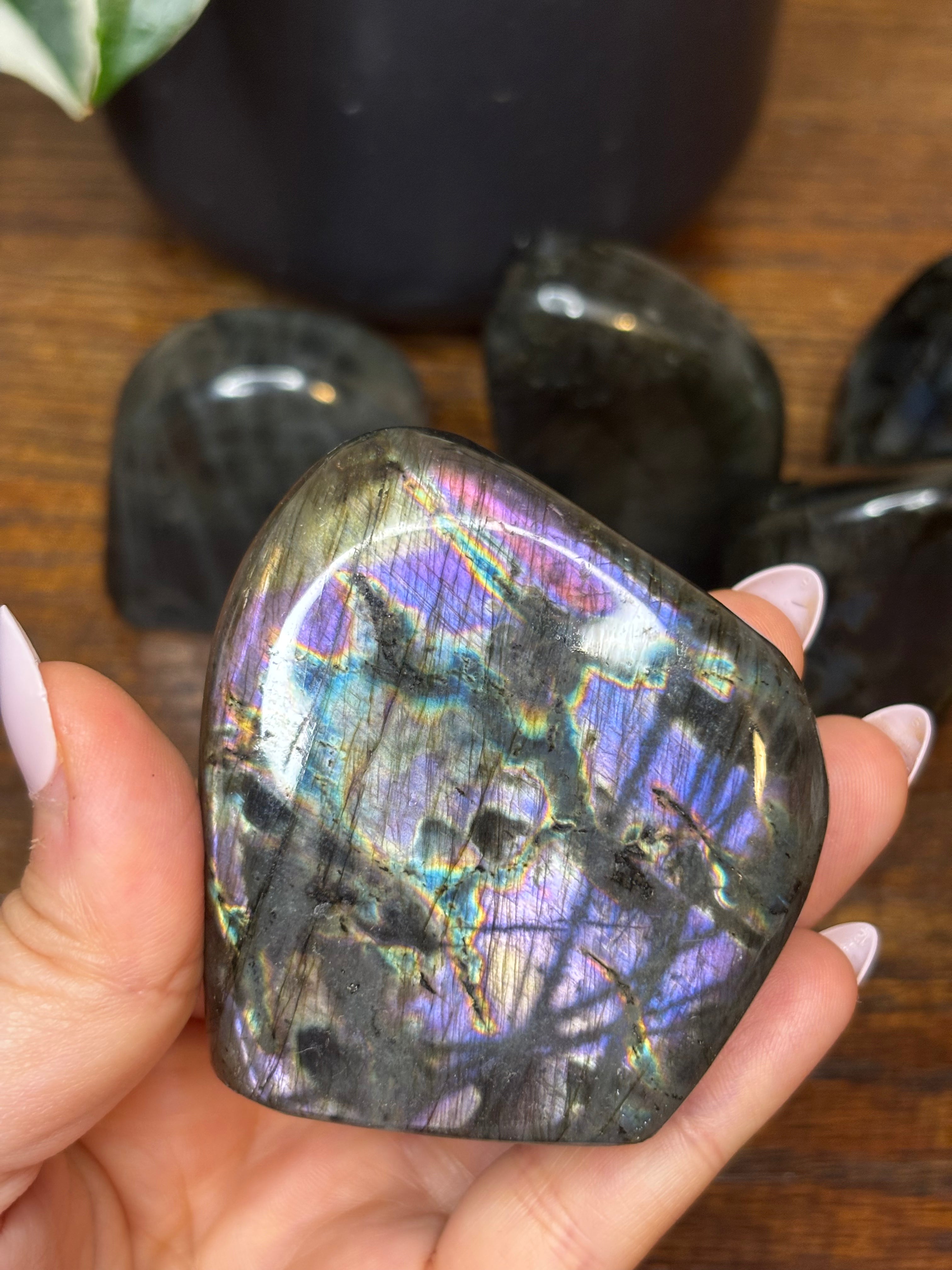 Labradorite Freeforms