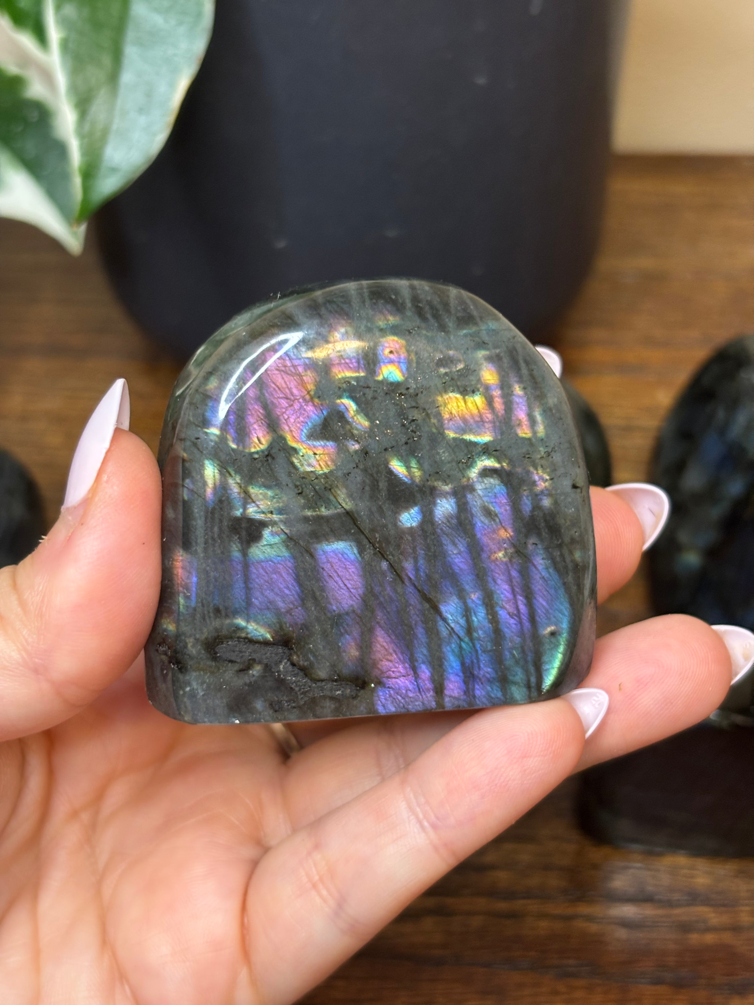 Labradorite Freeforms