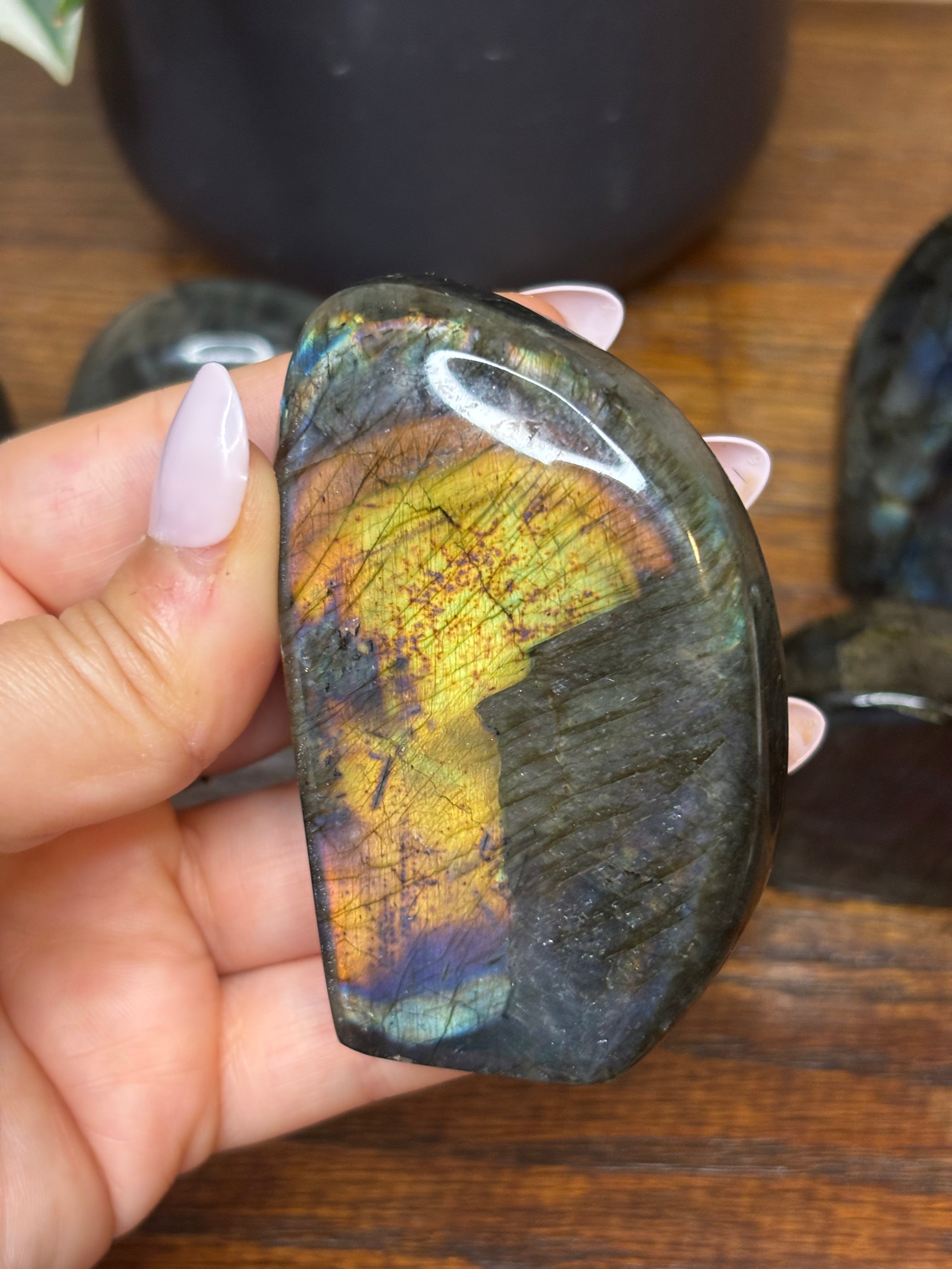 Labradorite Freeforms