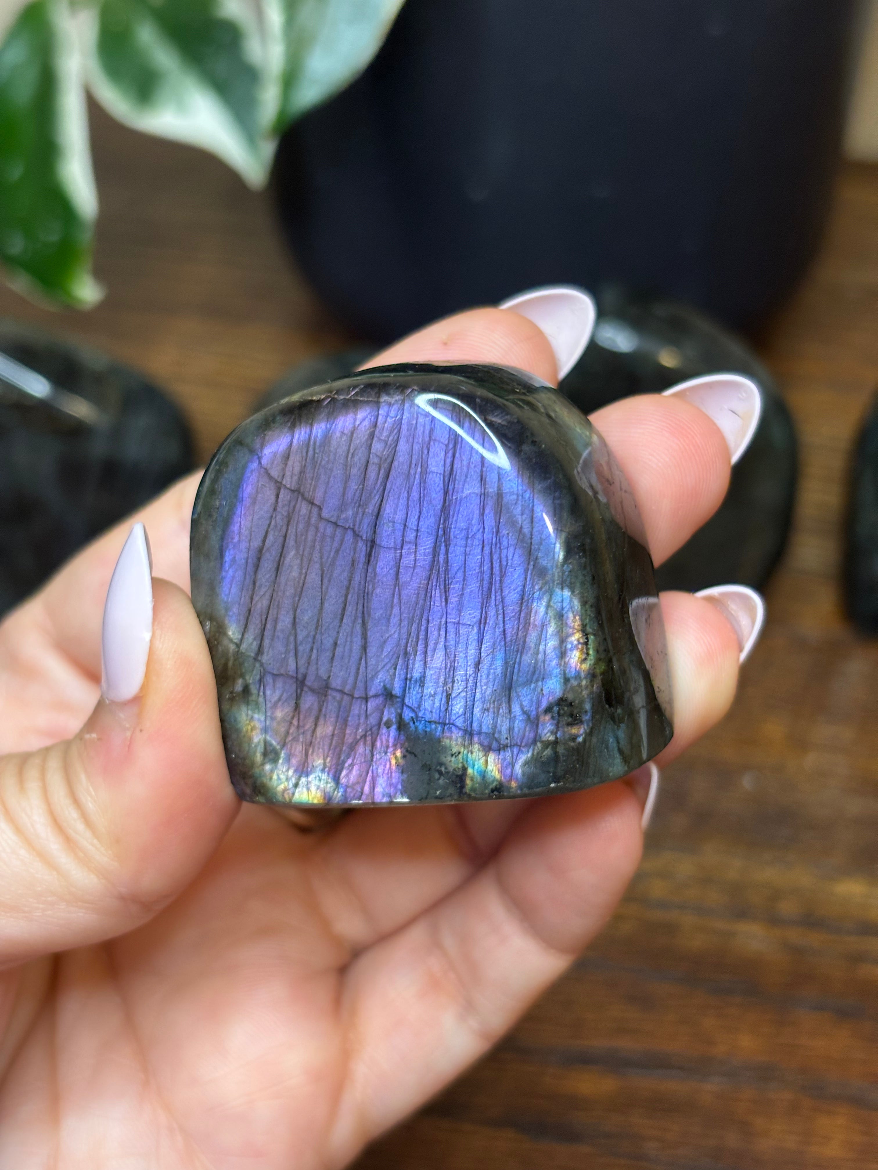Labradorite Freeforms