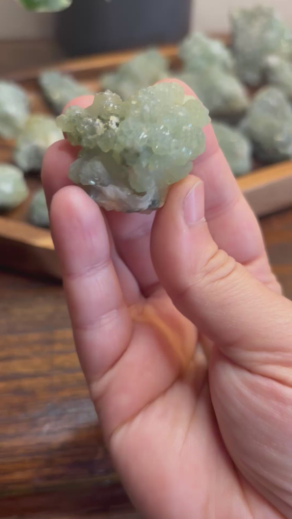 Phrenite raw crystal - click to see more!