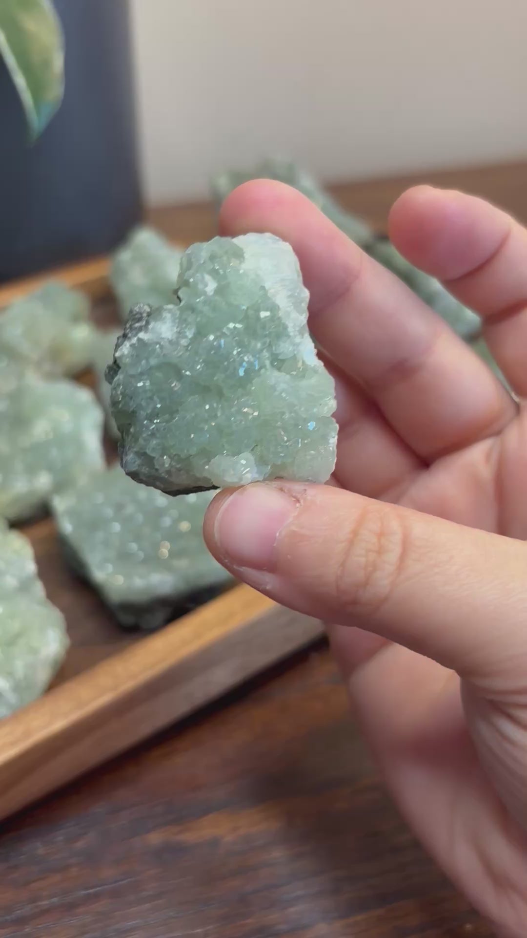 Phrenite raw crystal - click to see more!