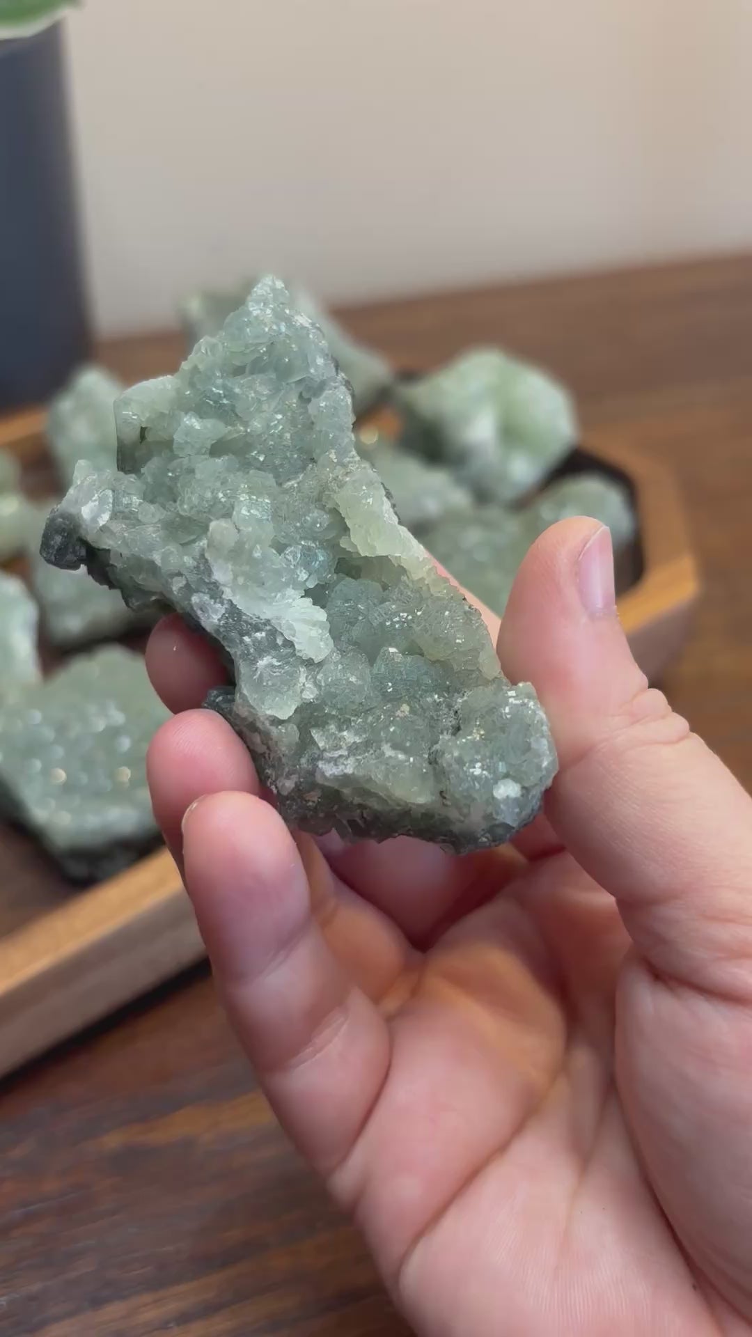 Phrenite raw crystal - click to see more!