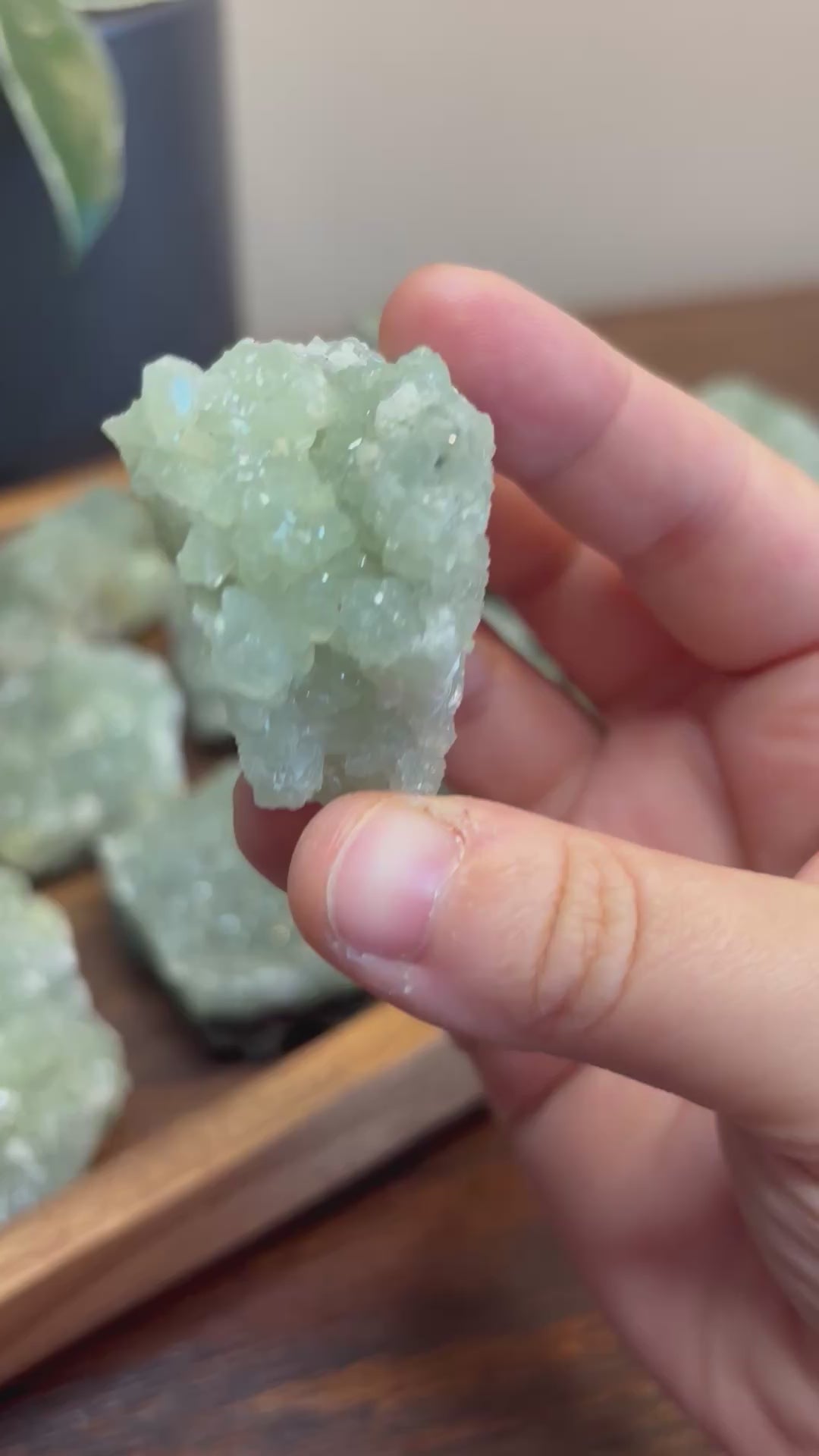 Phrenite raw crystal - click to see more!