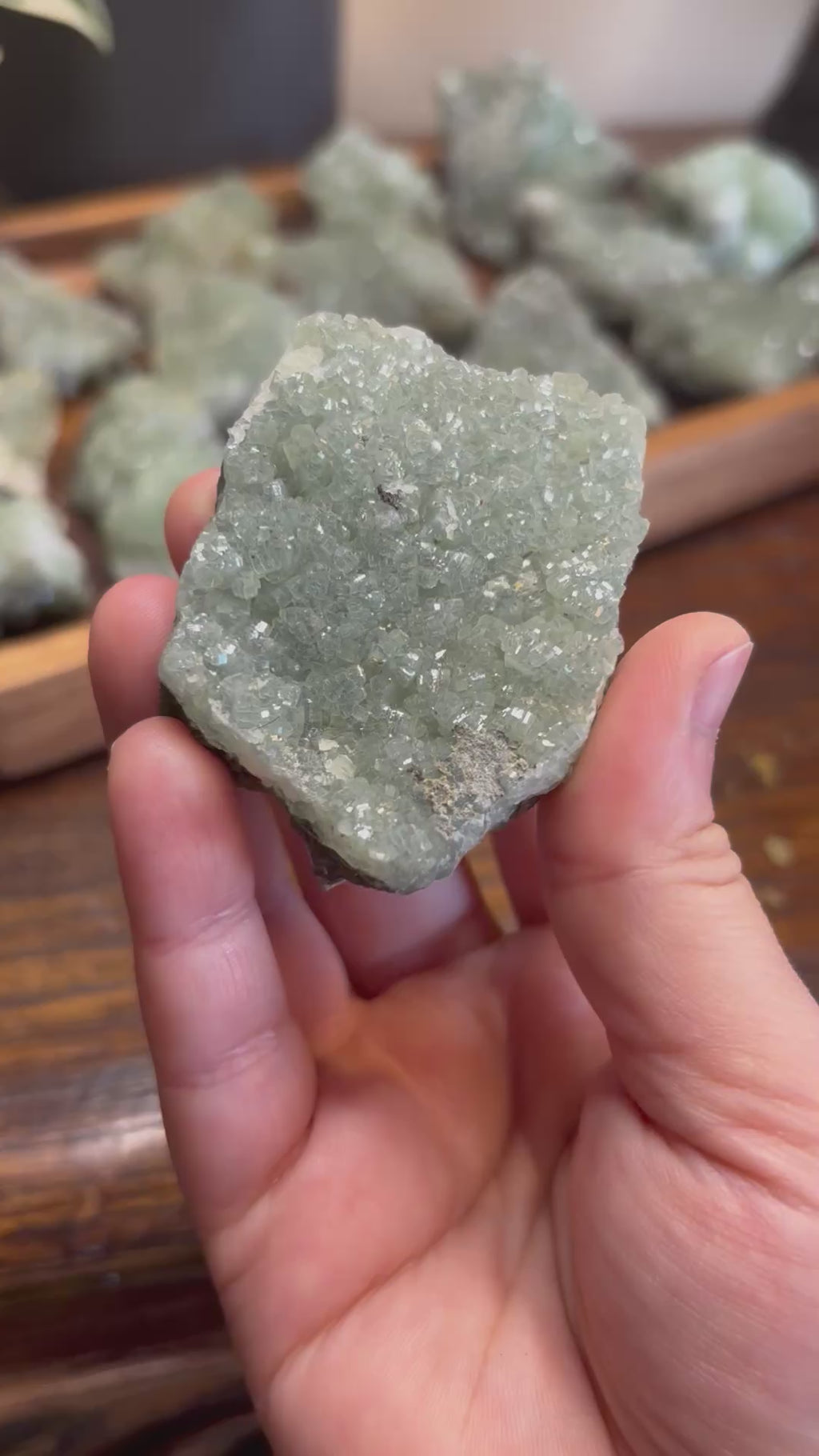 Phrenite raw crystal - click to see more!
