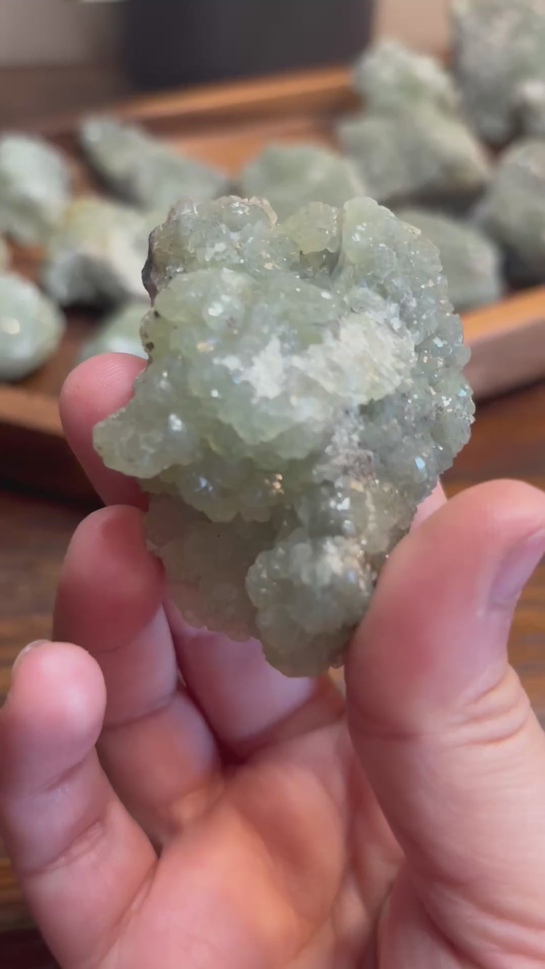 Phrenite raw crystal - click to see more!